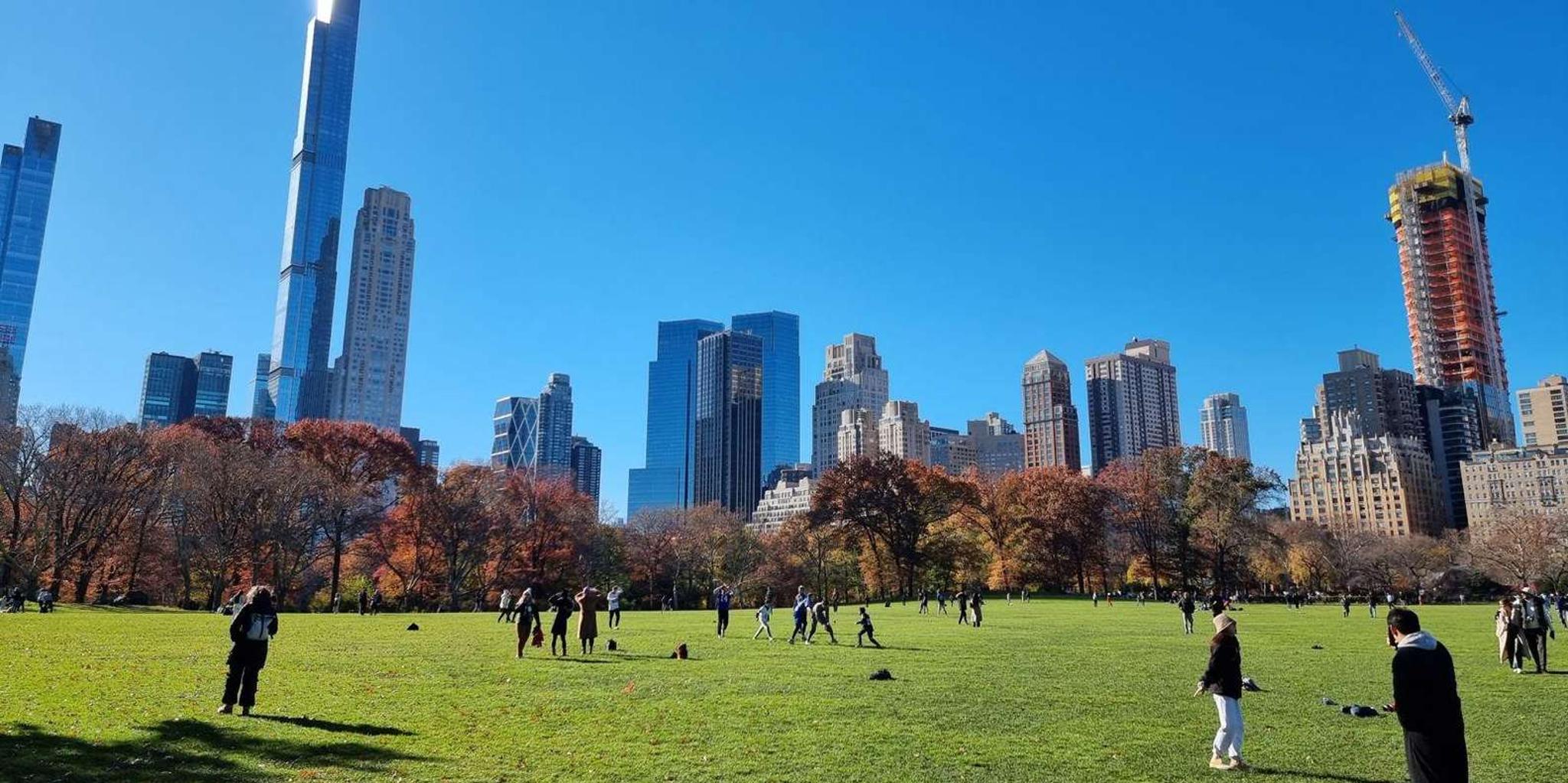 New York Central Park Carriage Ride - Image 4