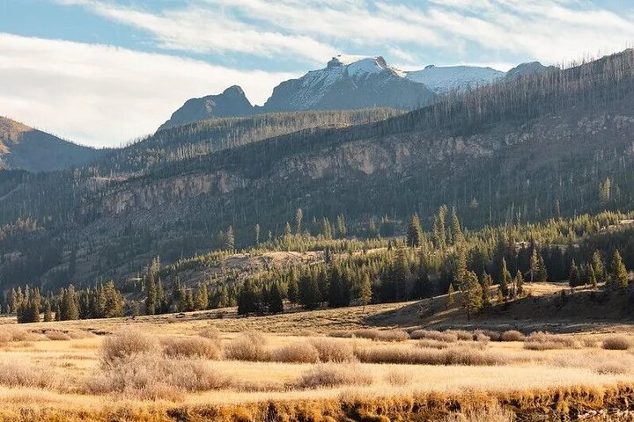 Yellowstone Slough Creek Naturalist Hike - Image 1