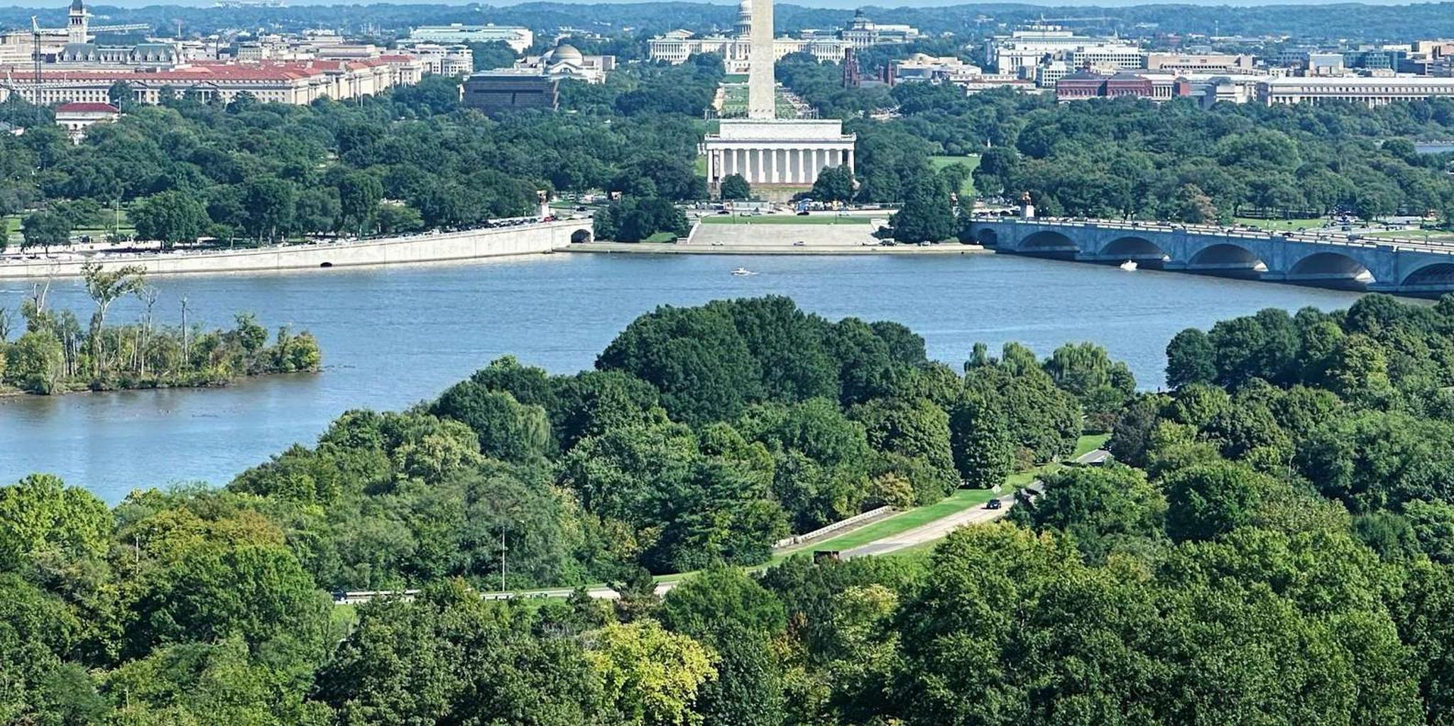 Washington DC Monuments and Cherry Blossoms Tour - Image 5