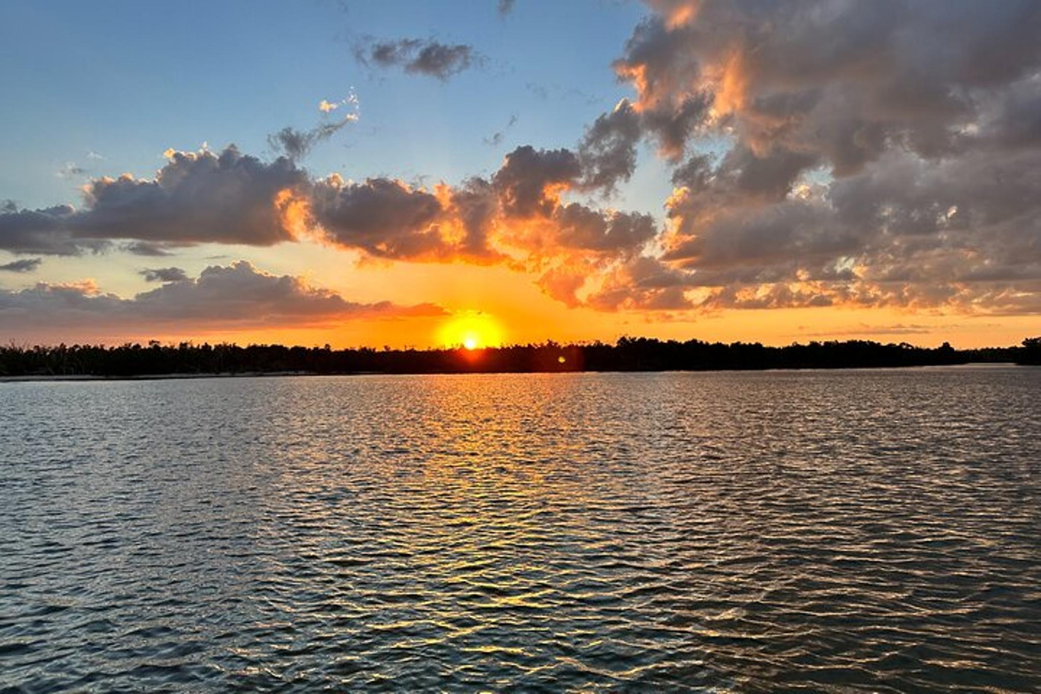 Ten Thousand Islands Sunset Eco Tour - Image 4