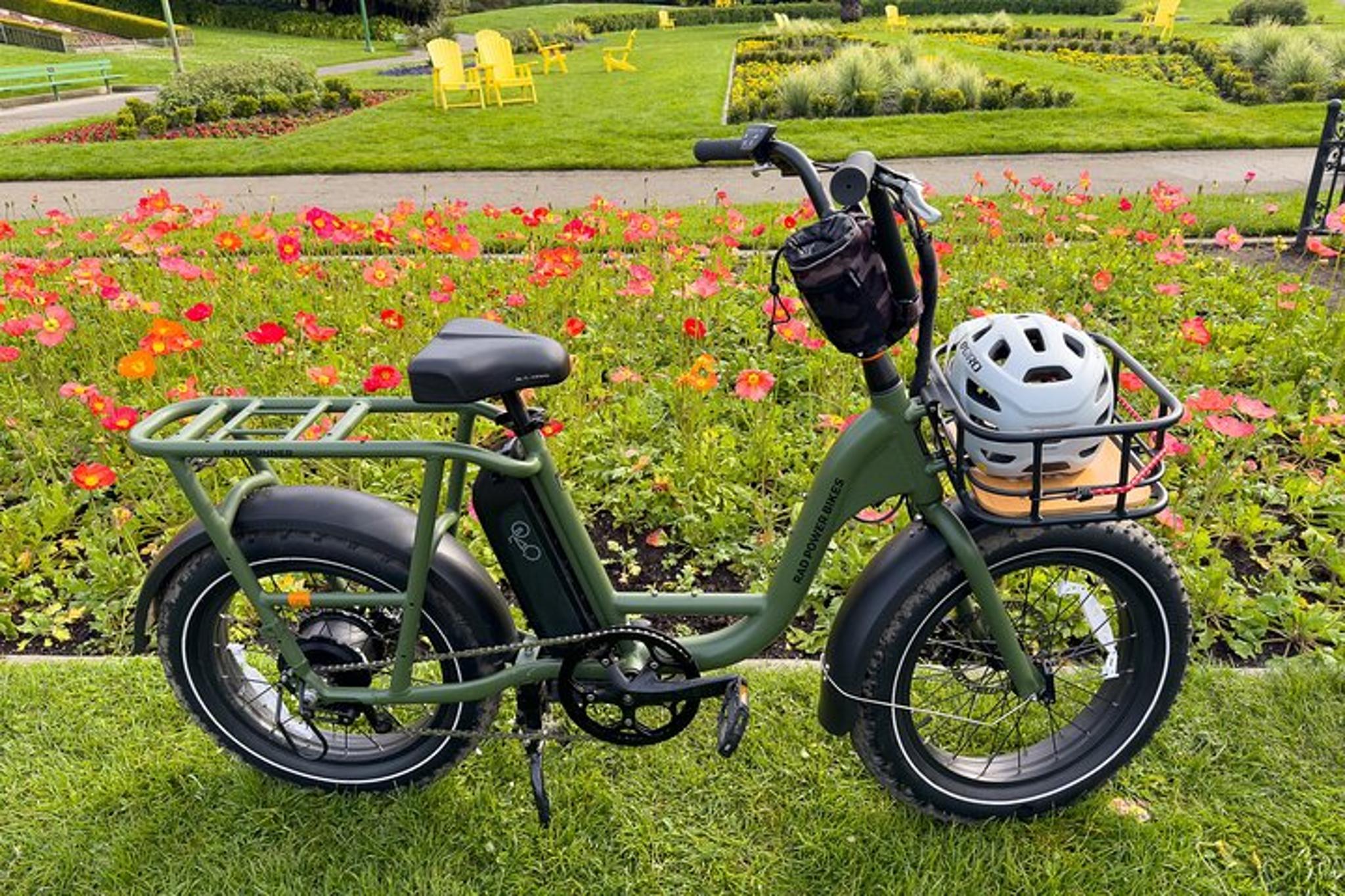 San Francisco Electric Bike Tour with Food and Hidden Gems - Image 2