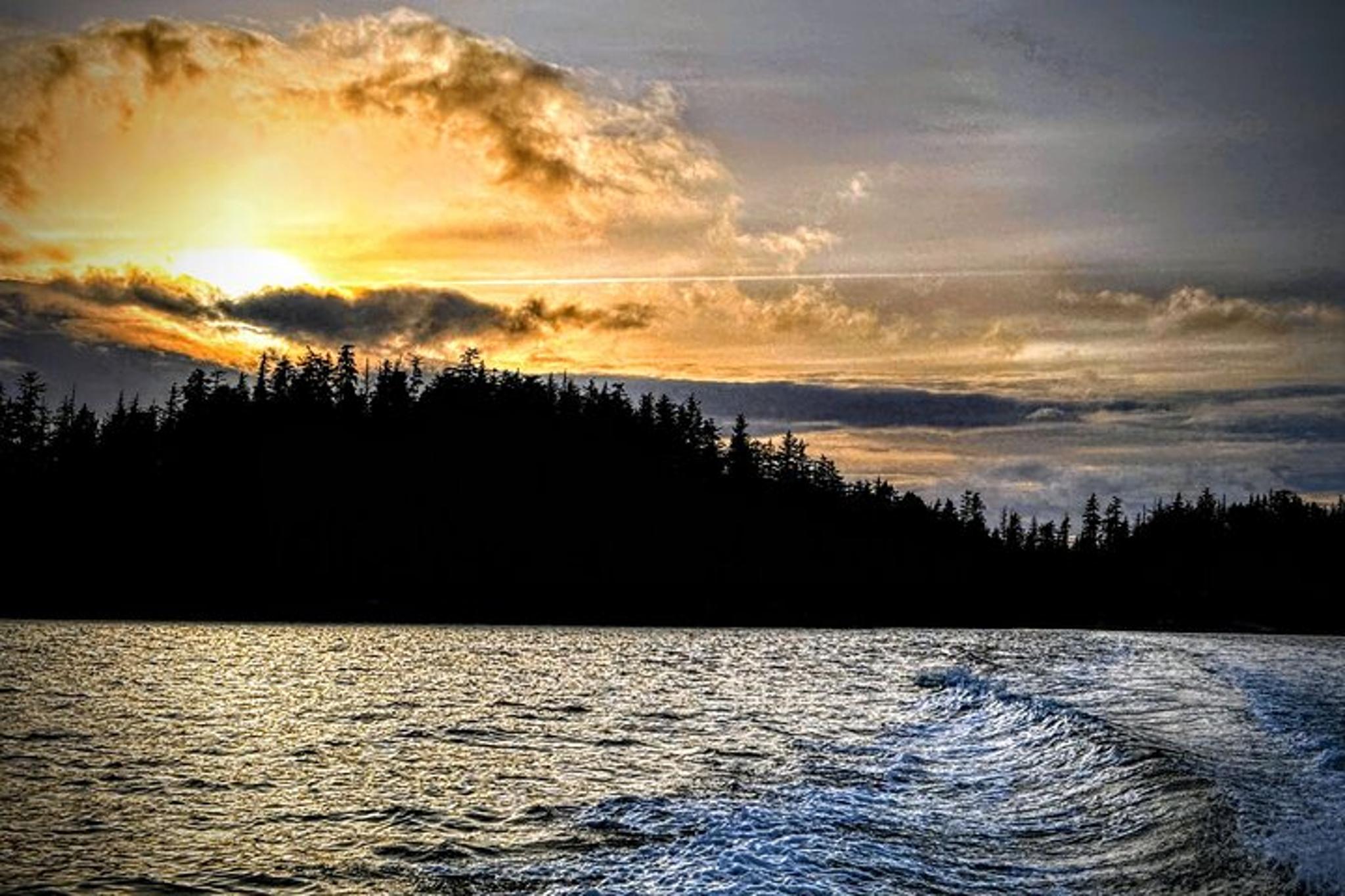 Sitka Wildlife Boat Tour - Image 3