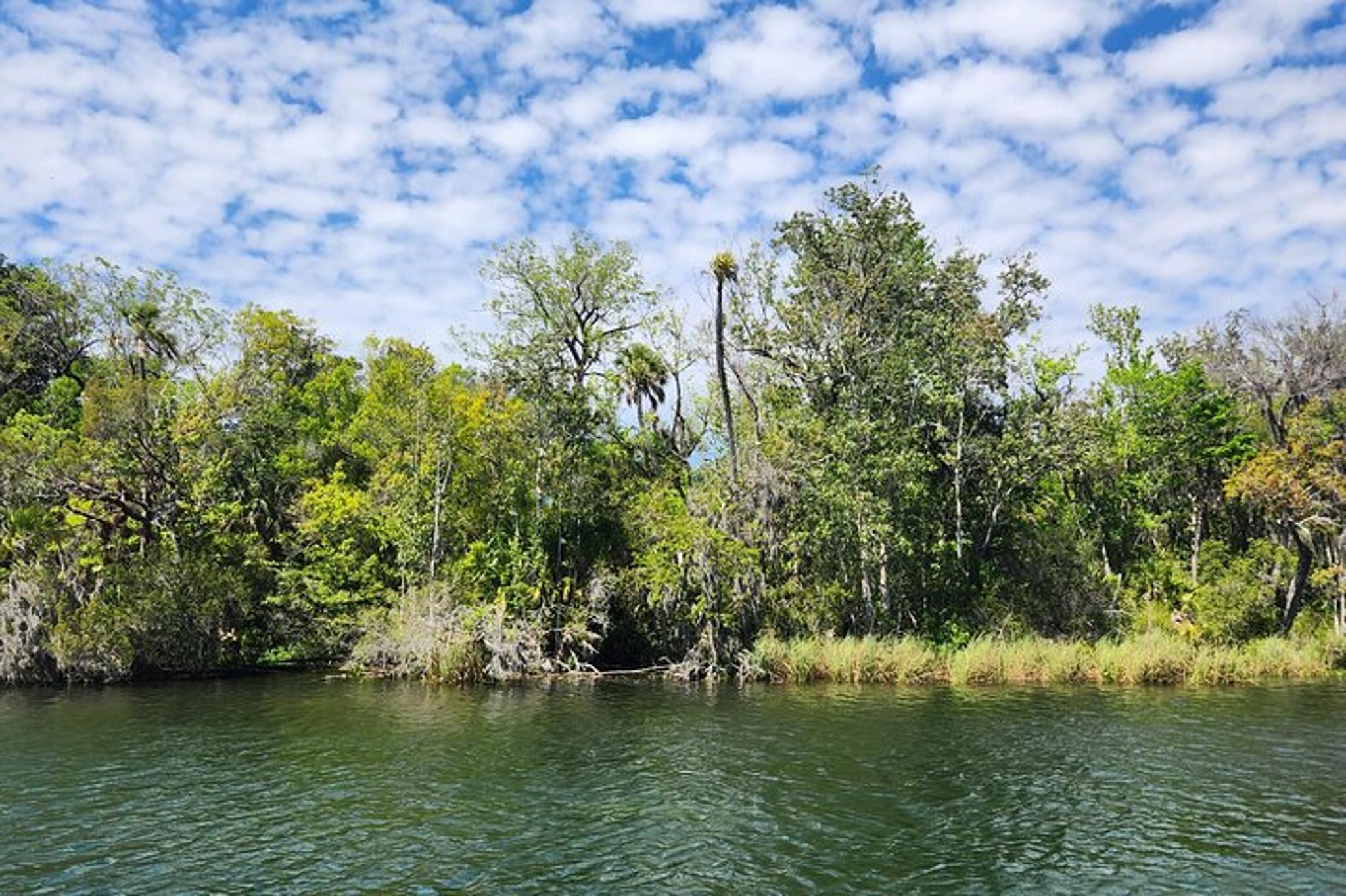 Crystal River Ecological Boat Tour - Image 3