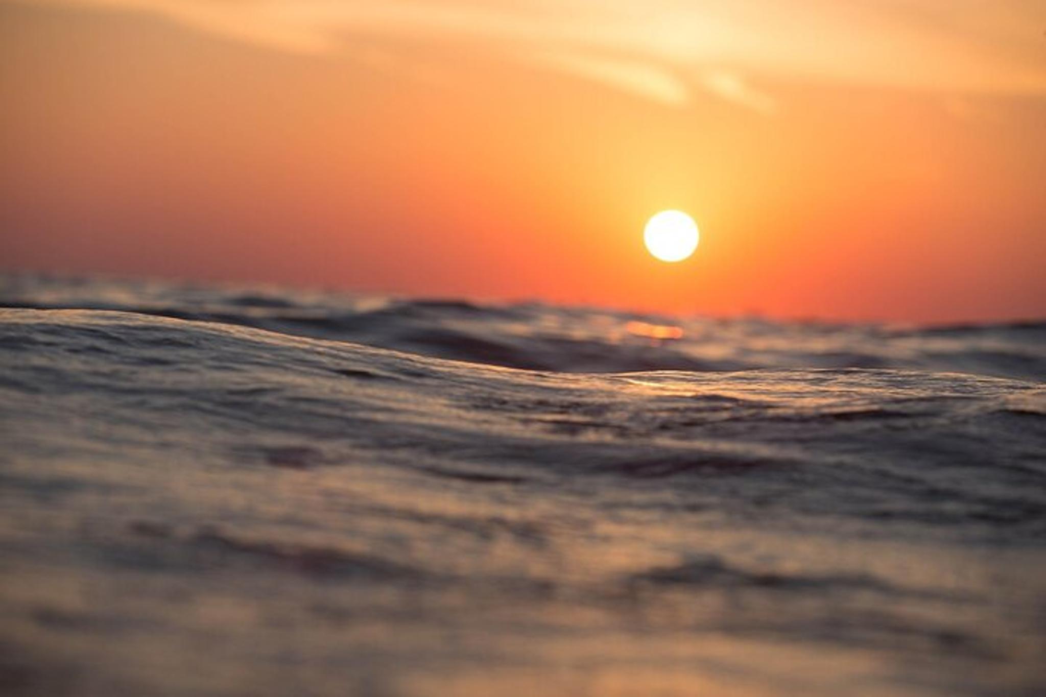 Maalaea Powerboat Sunset Cruise - Image 4
