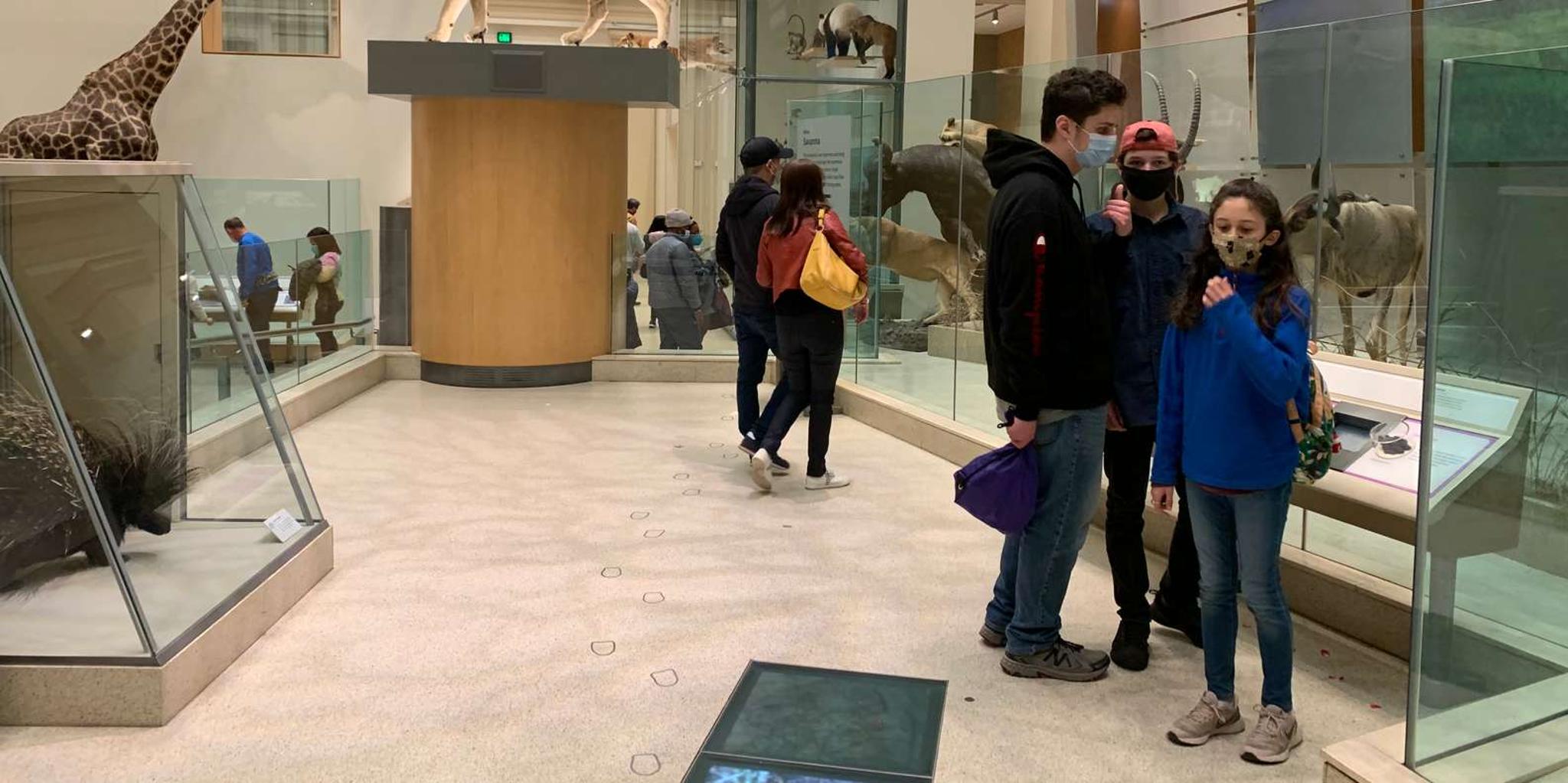 Washington DC Smithsonian Museum of Natural History Tour 2 hr - Image 4