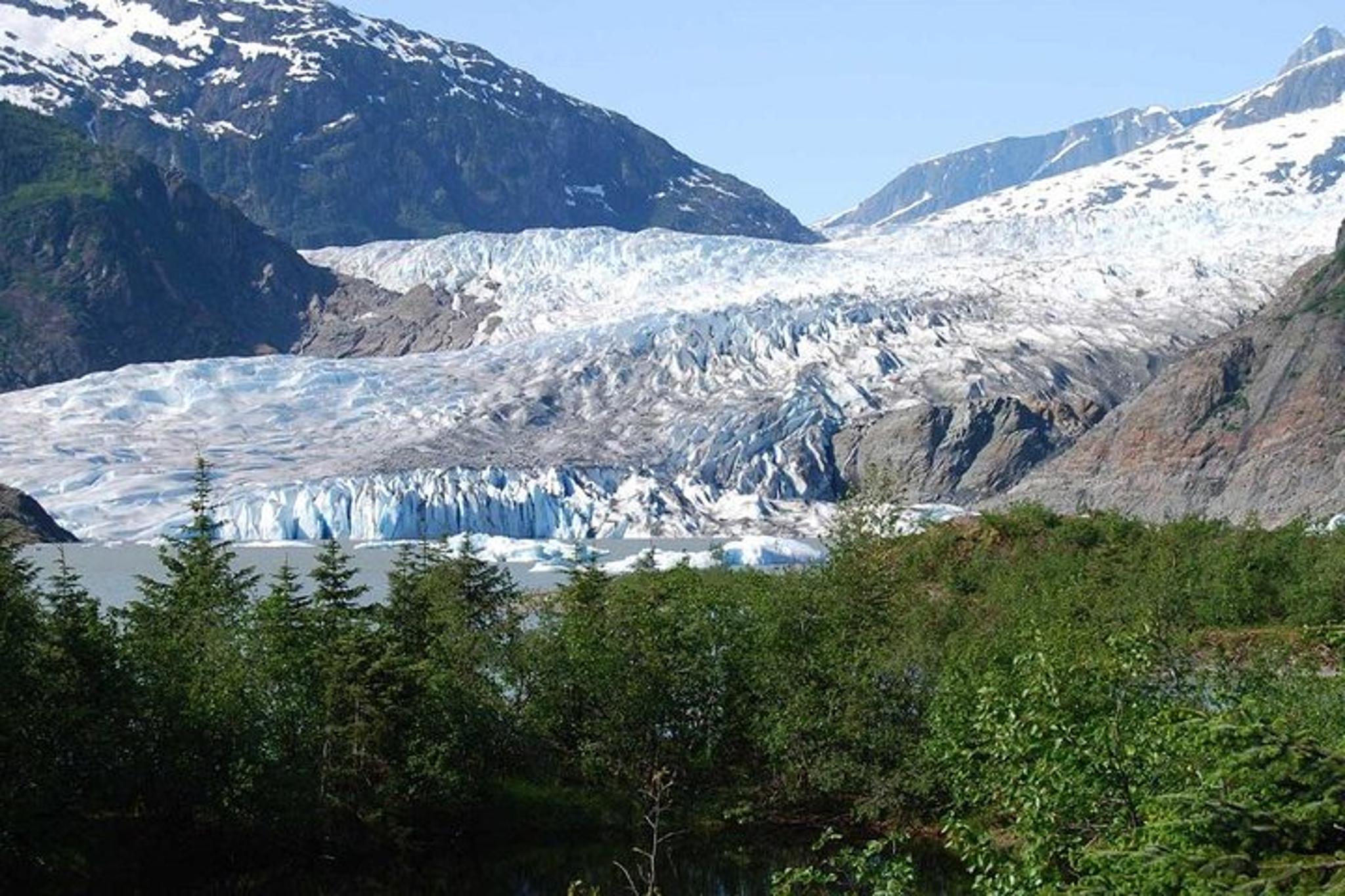 Juneau Mendenhall Glacier Trolley Tour 3 hr - Image 1