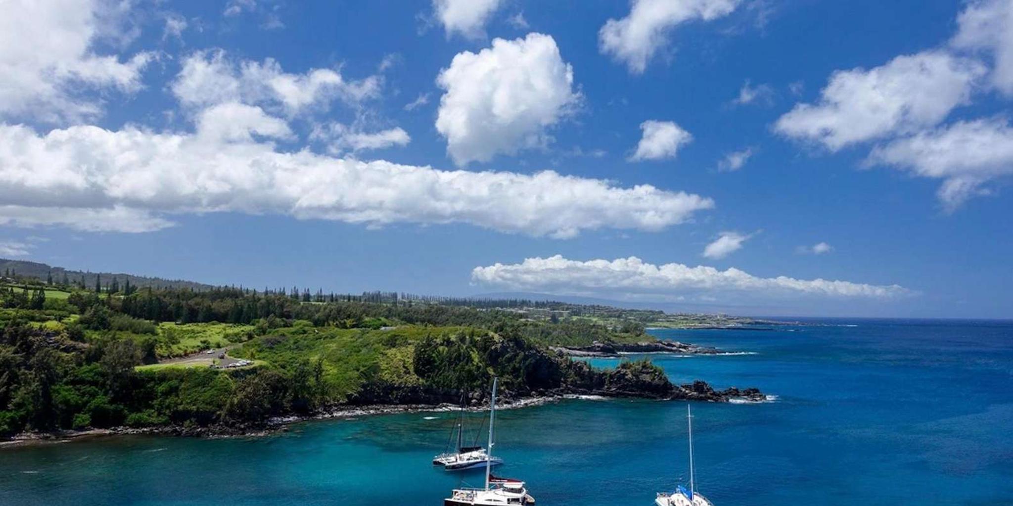 Maui Open-Air Blowhole & Banyan Forest Tour 2.5 hr - Image 6