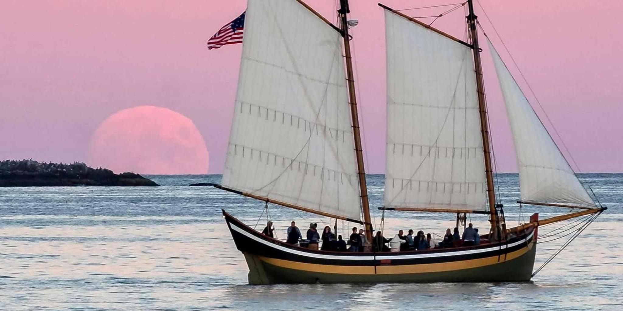 Boston Tall Ship Sunset Sailing Cruise - Image 3