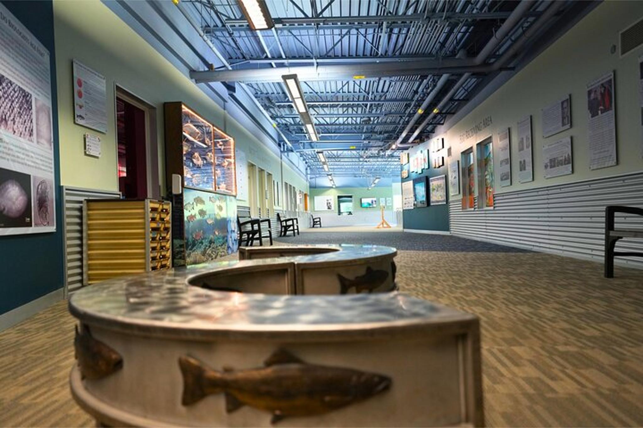 Anchorage Salmon Adventure Hatchery and Ship Creek - Image 2