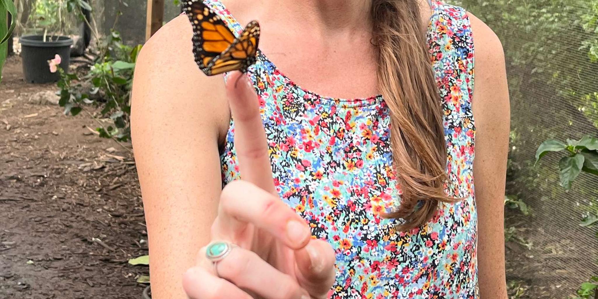 Maui Butterfly Farm Tour - Image 6