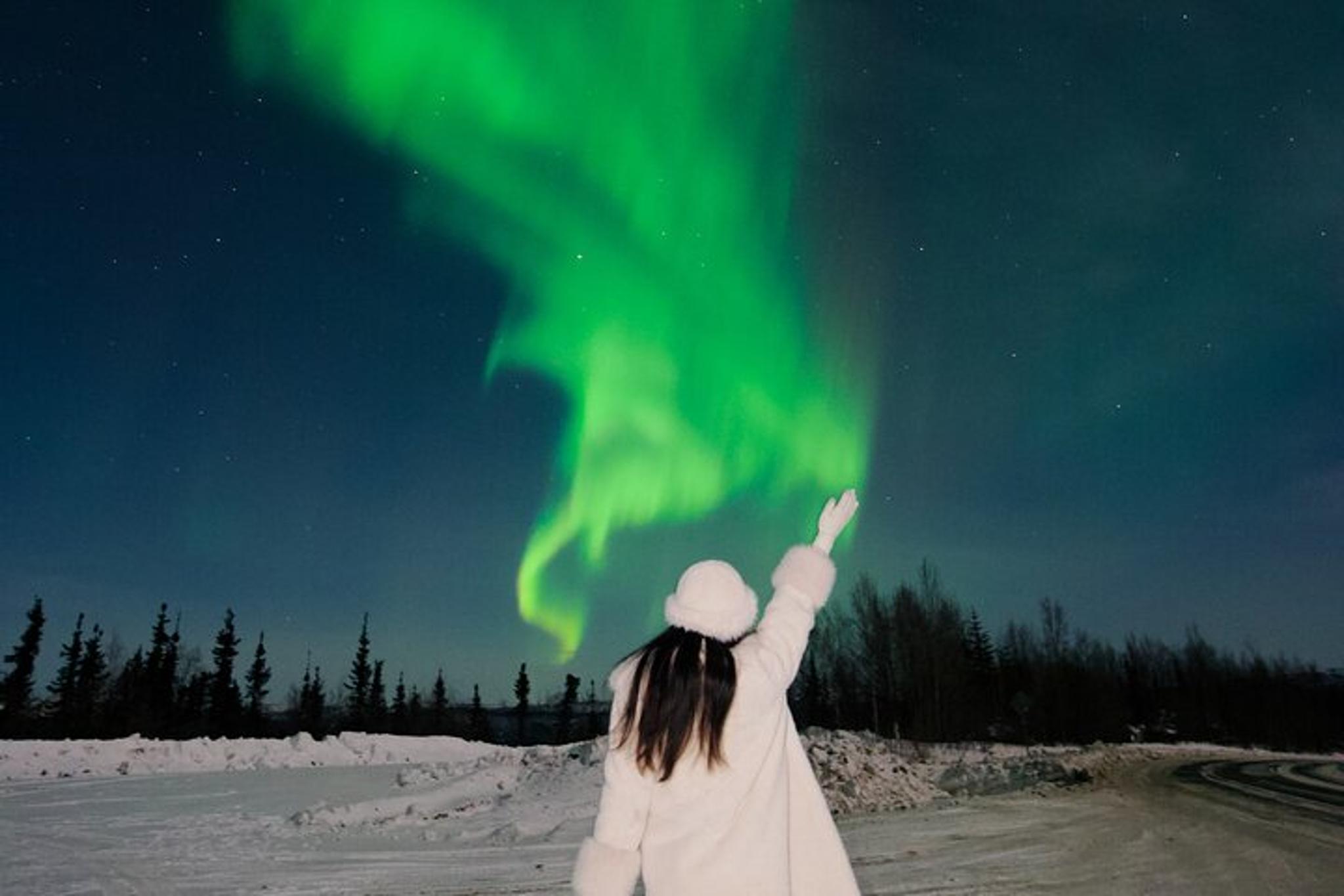 Fairbanks Aurora Chasing Tour - Image 3