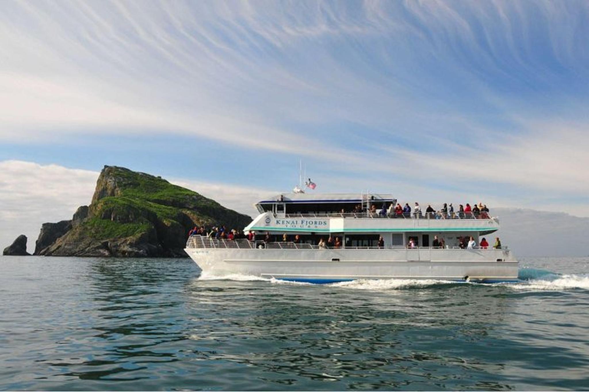 Seward Wildlife Tour in Resurrection Bay 4 hr - Image 2