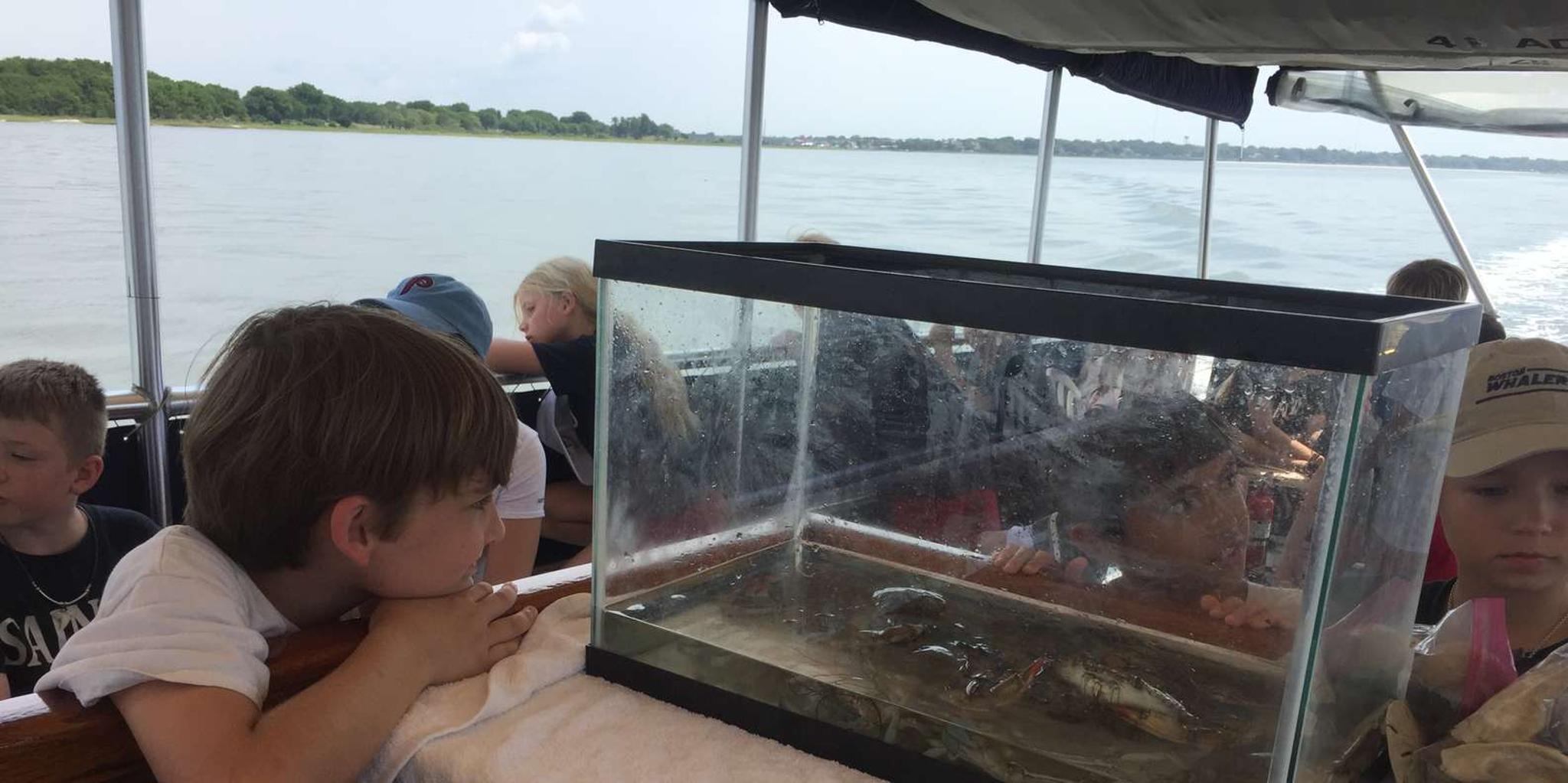 Charleston Nature Boat Tour with Naturalist - Image 2