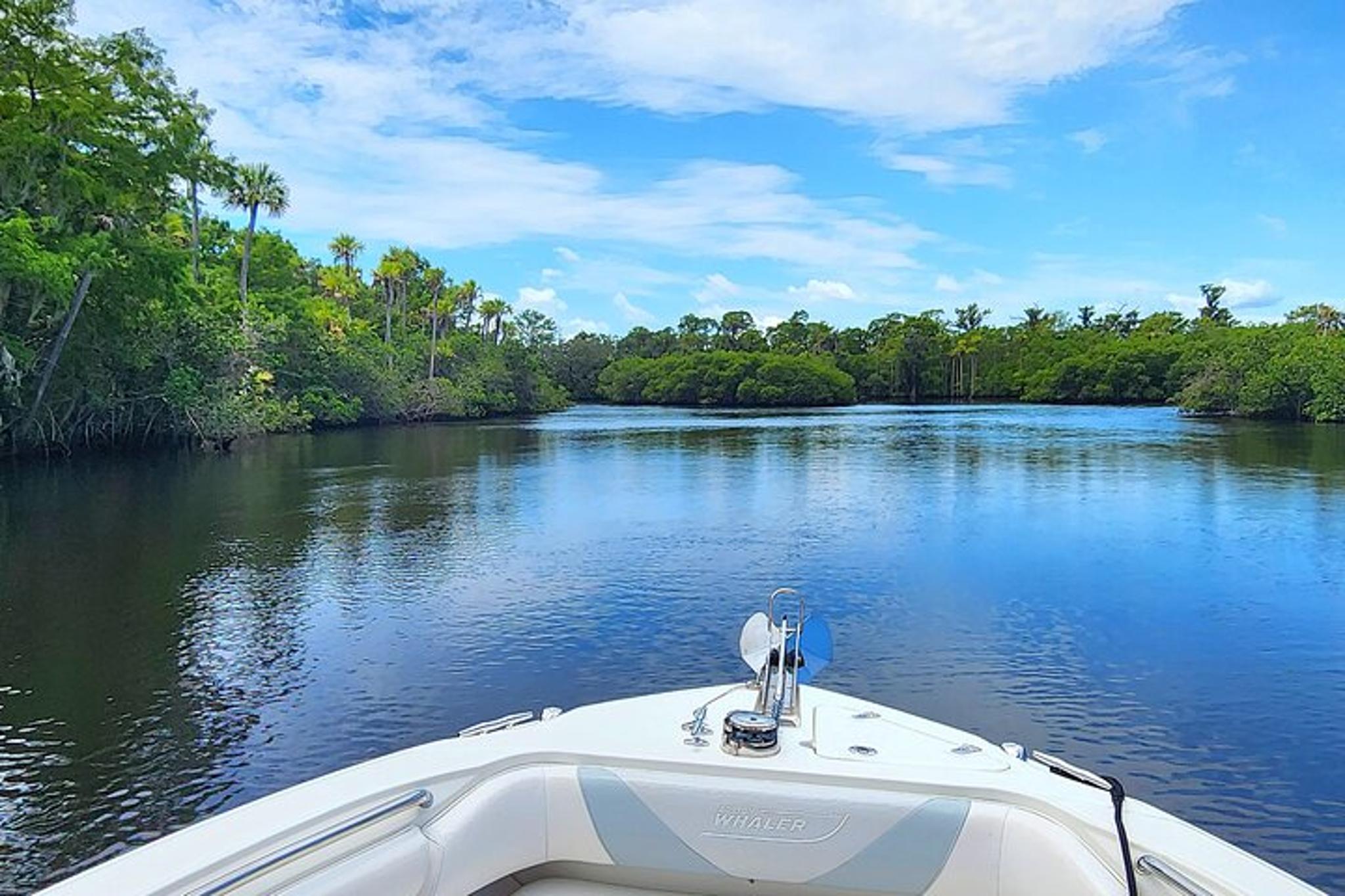 Palm Beach Sightseeing Cruise - Private 4 Hour - Image 3