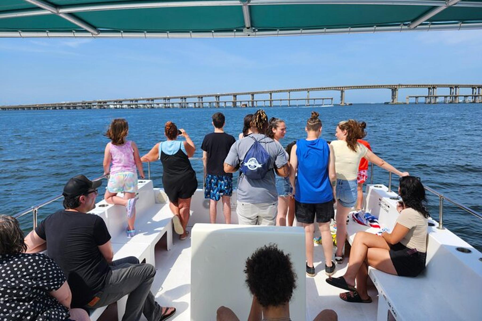 Pensacola Dolphin and Scenic Tour - Image 5