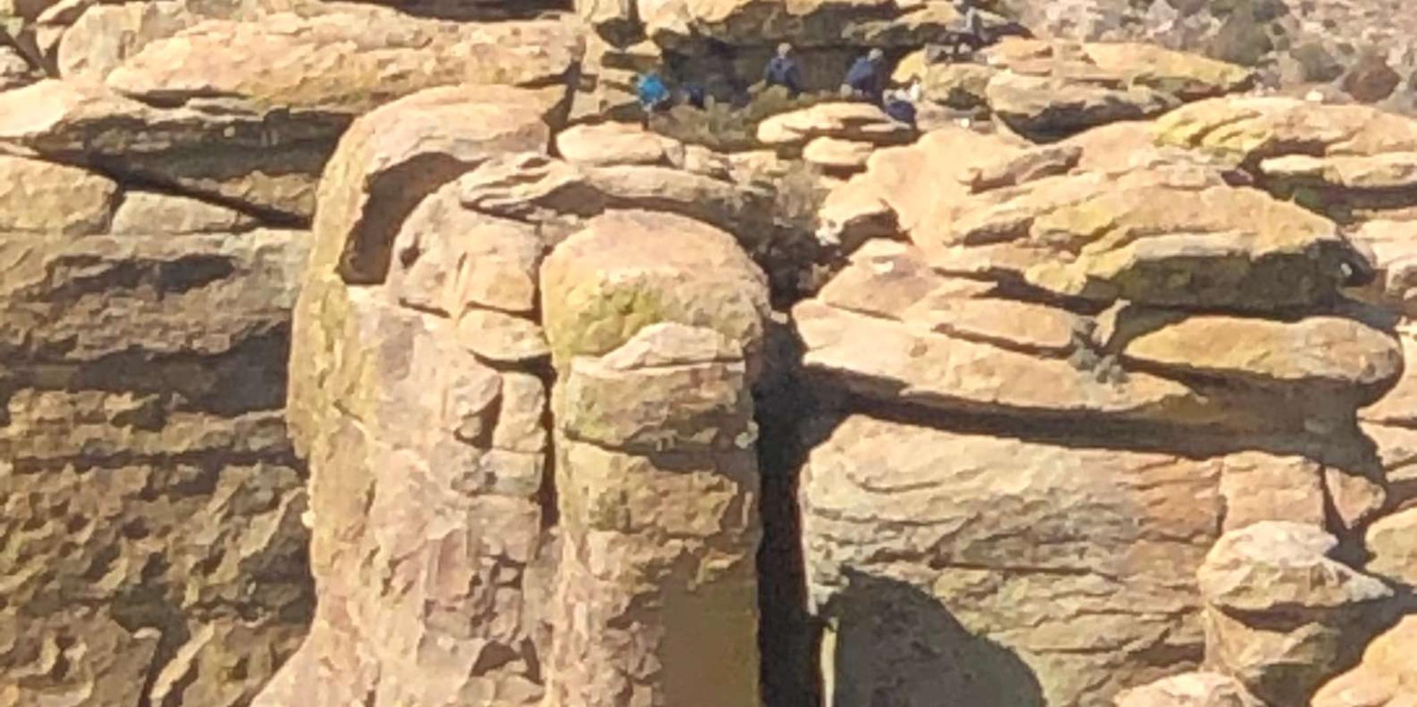 Tucson Mountain Bio Zones Tour - Image 3