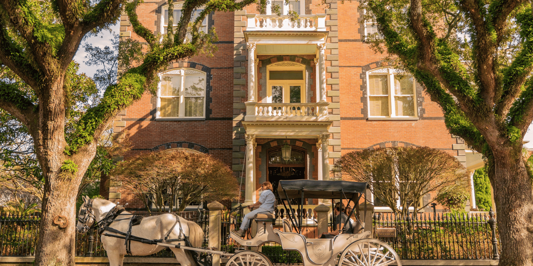 Charleston Horse-Drawn Carriage Tour - Image 5