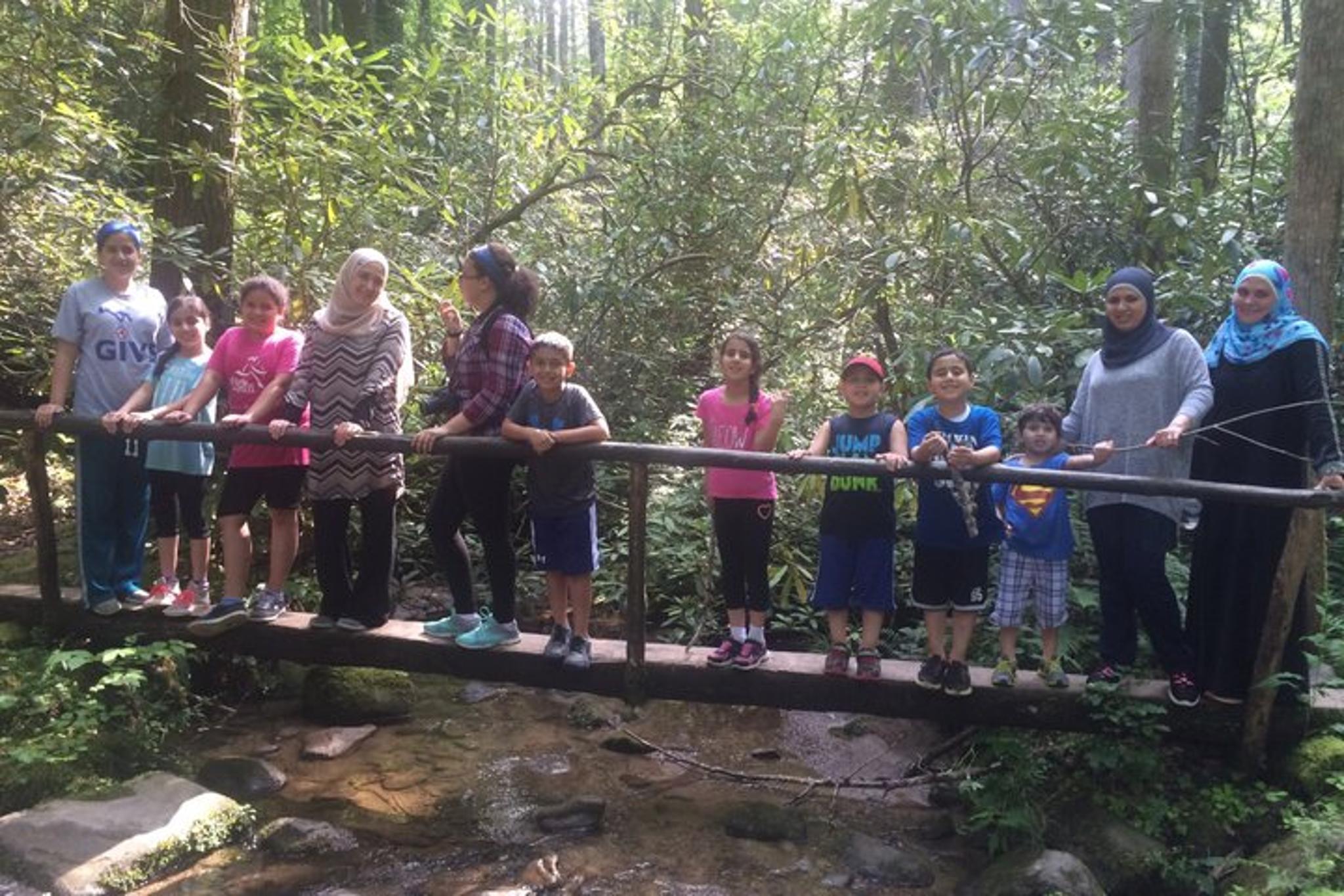 Smoky Mountains Hiking Tour Creekside and Forest 3 hr - Image 4