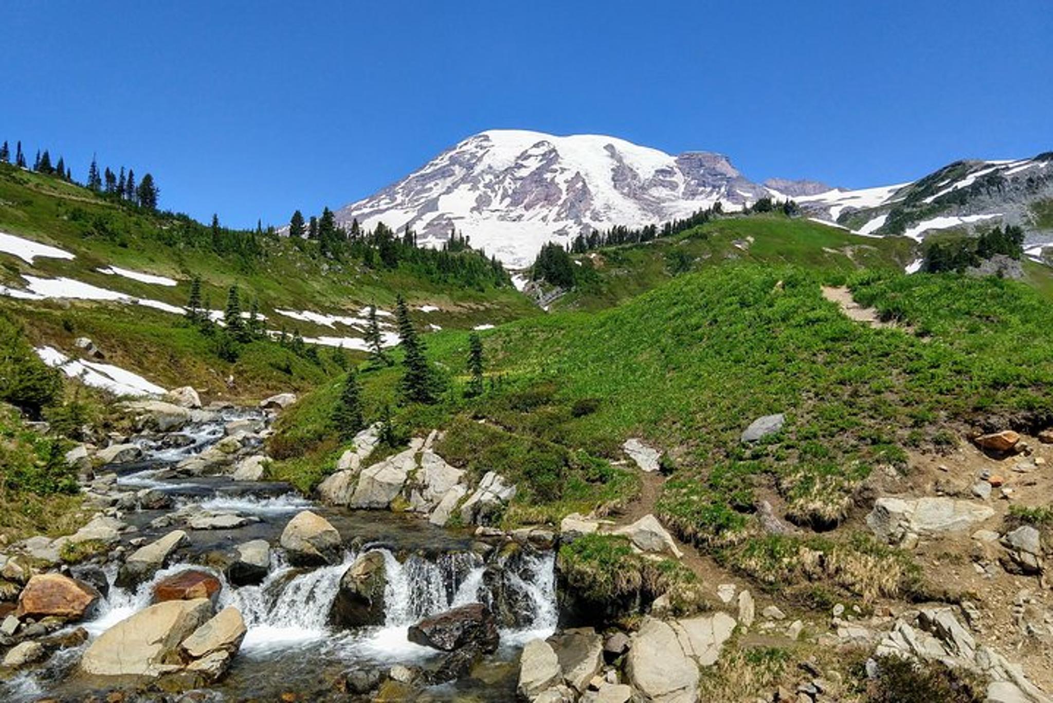 Seattle Mount Rainier National Park Day Tour - Image 2