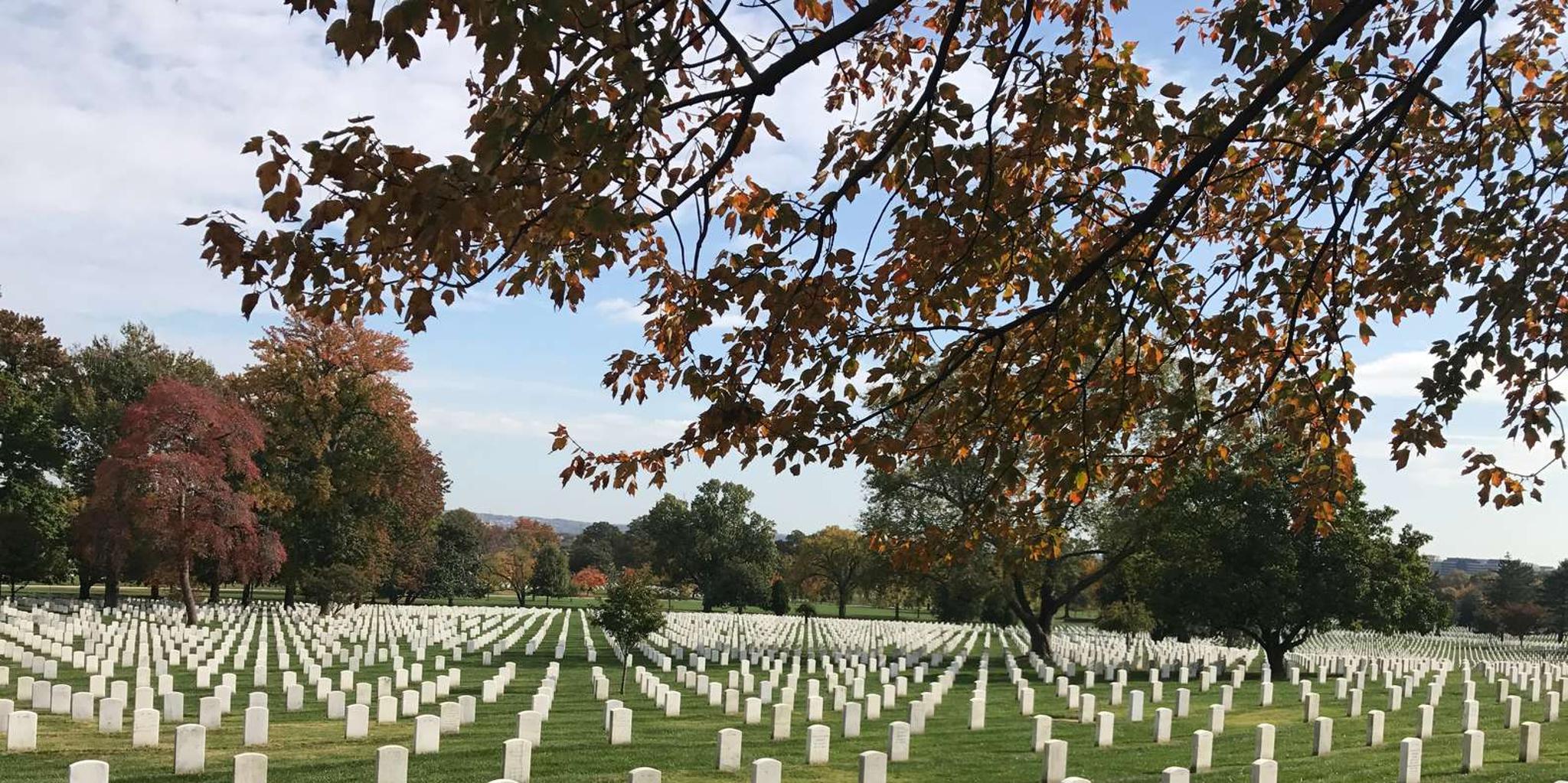 Arlington Cemetery Private Guided Walking Tour - Image 5