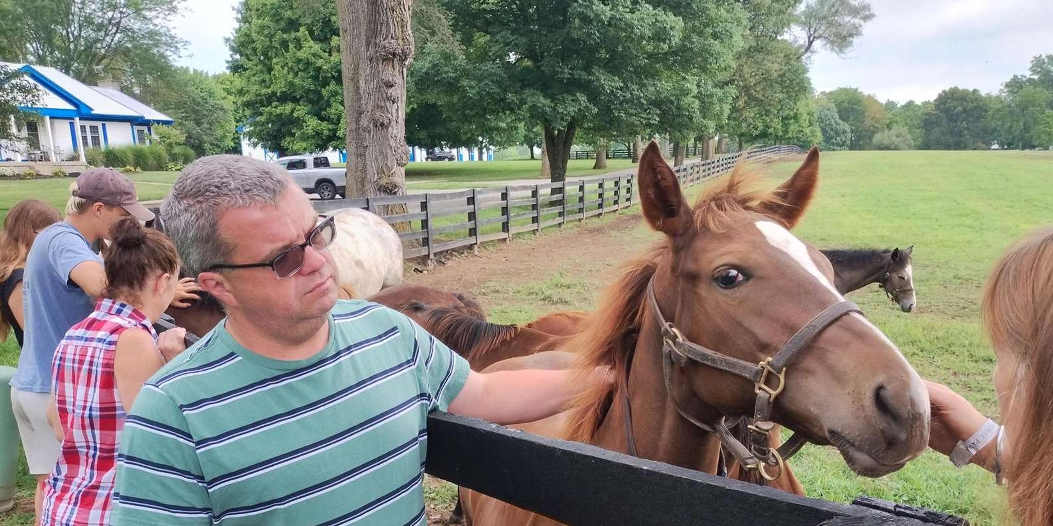 Lexington Thoroughbred Horse Farm Tour - Image 3