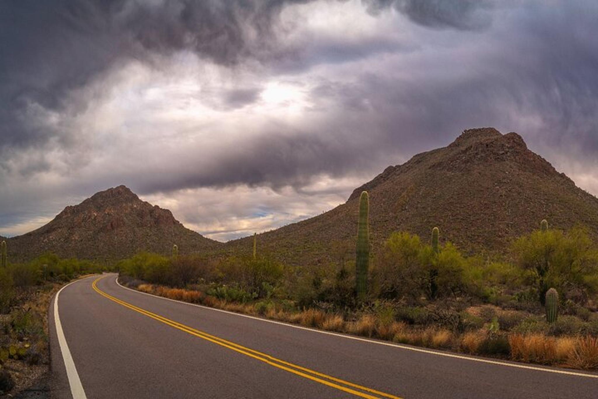 Tucson Saguaro National Park Self-Guided Audio Tour - Image 6