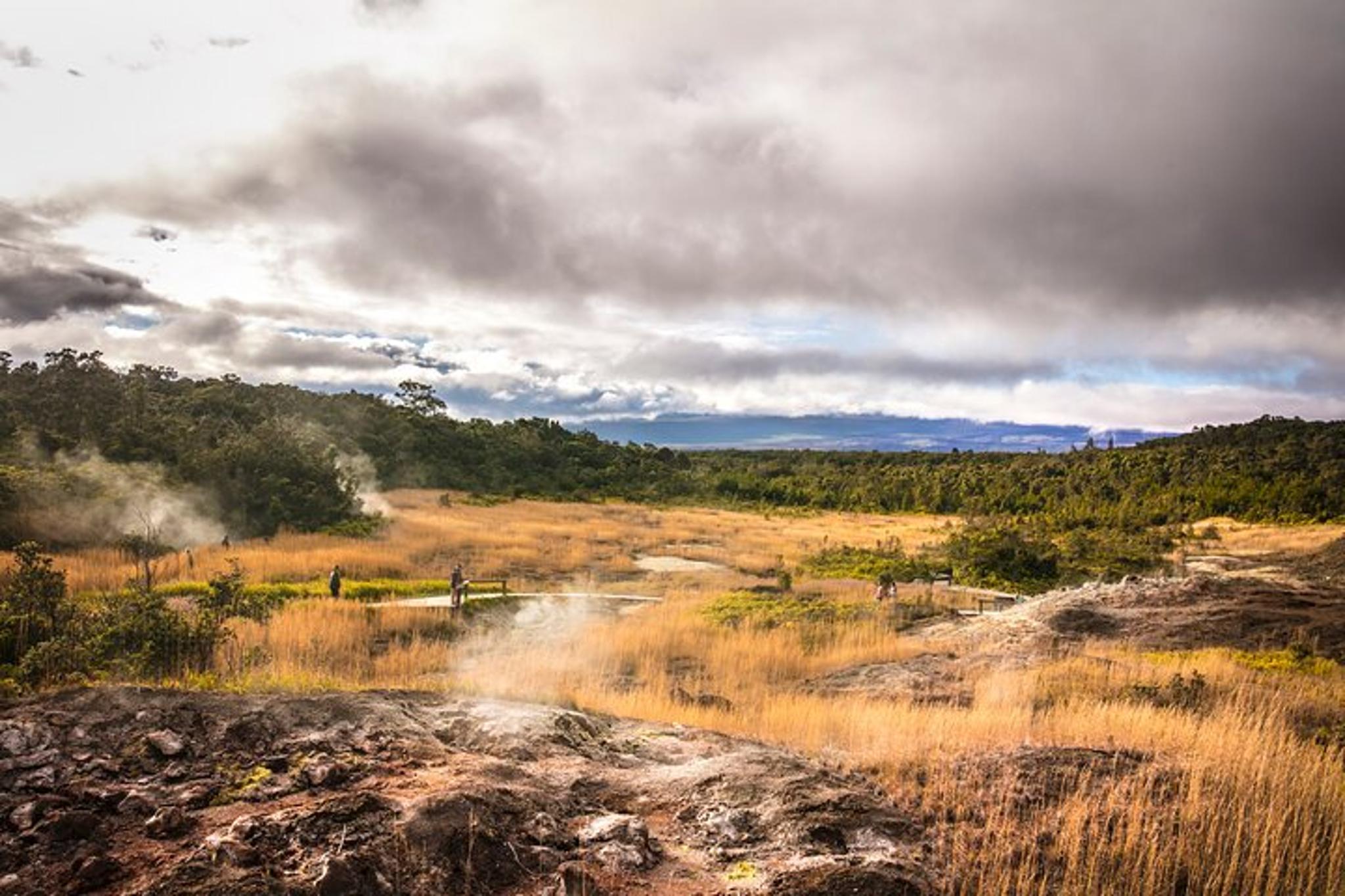 Kohala Volcano Hike Adventure - Image 5