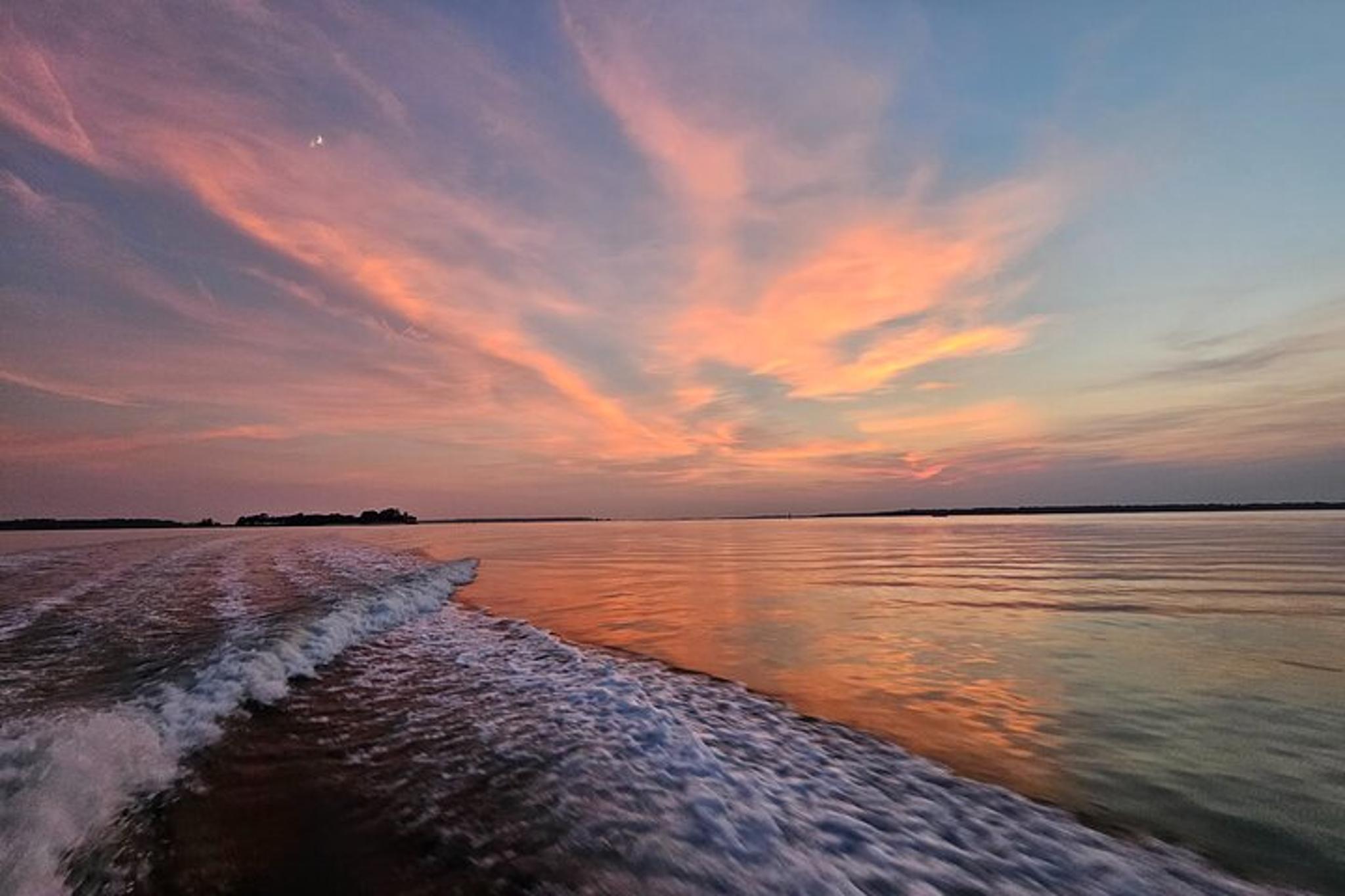 Hilton Head Dolphin and Nature Tour 1 hr - Image 2