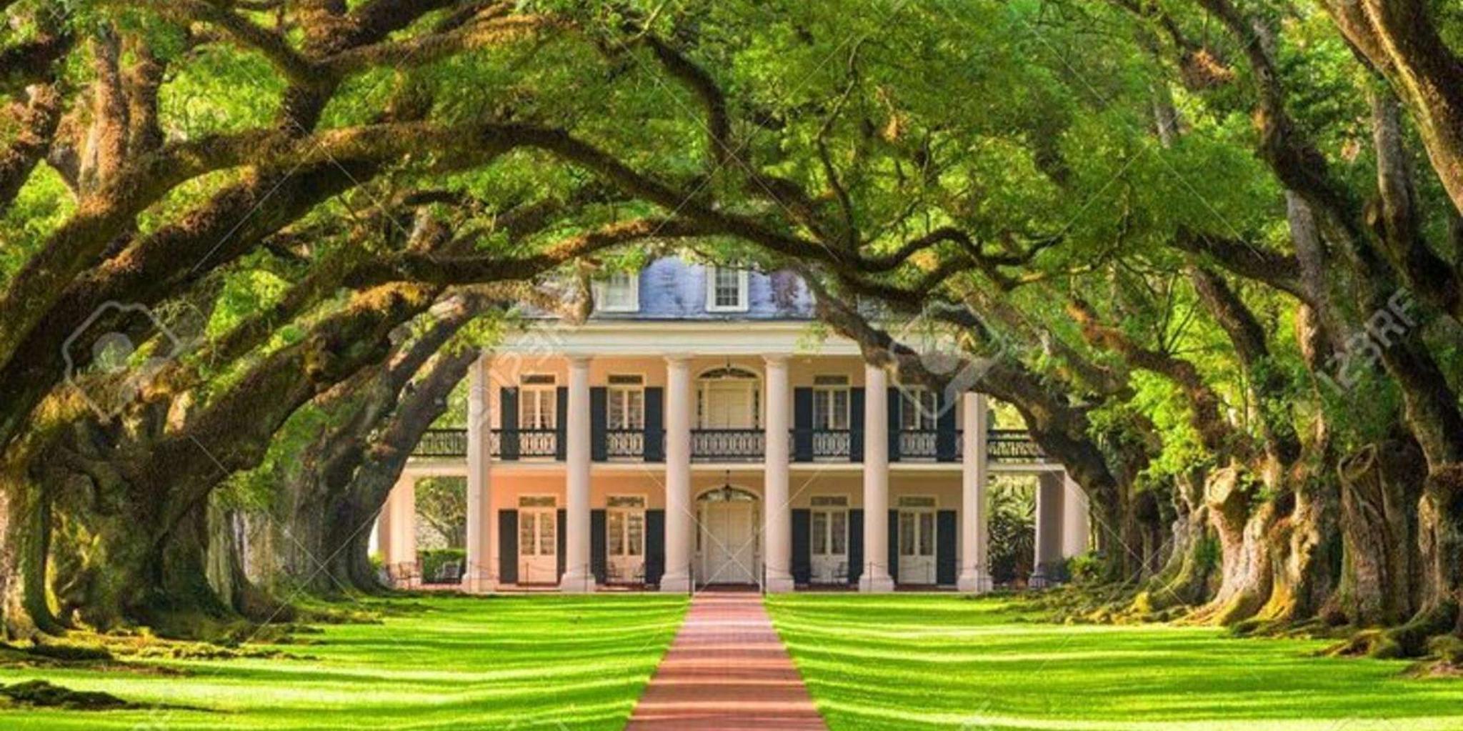 New Orleans Oak Alley Plantation and Airboat Tour