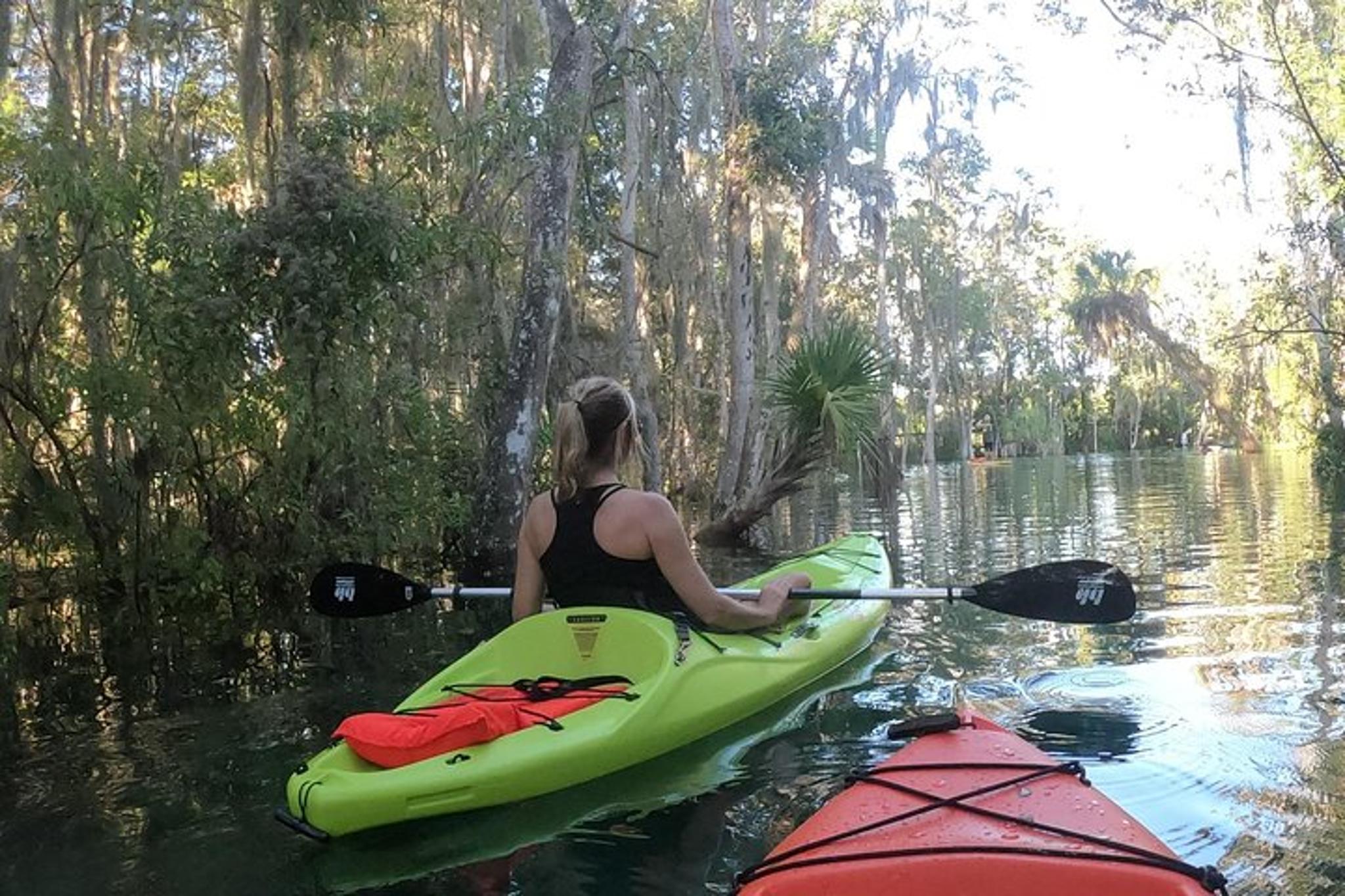 Crystal River Kayak Rental 4 hr - Image 6