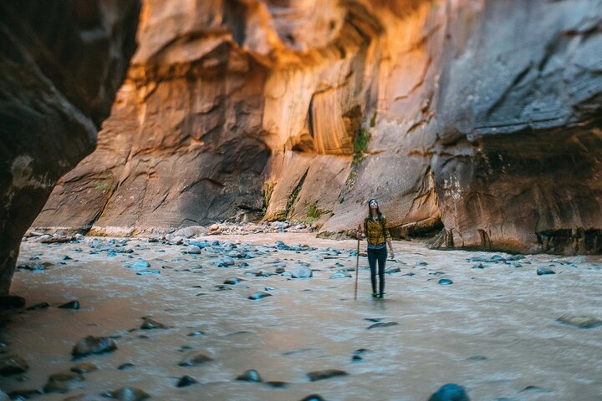 Zion Private Tour & Hike - Image 3