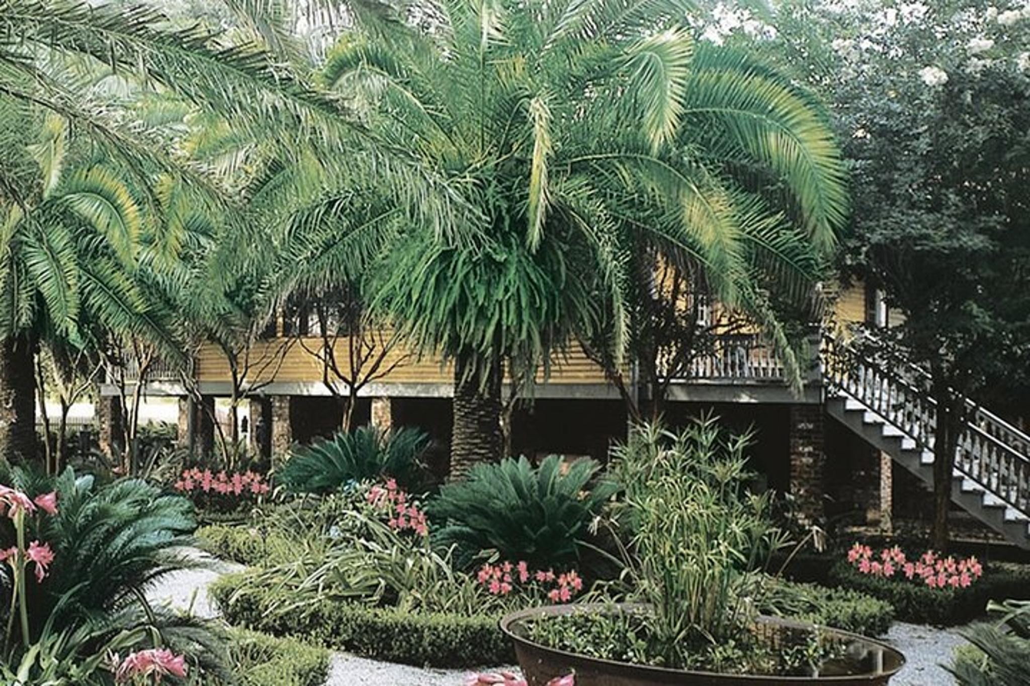 New Orleans Laura Plantation Tour - Image 6