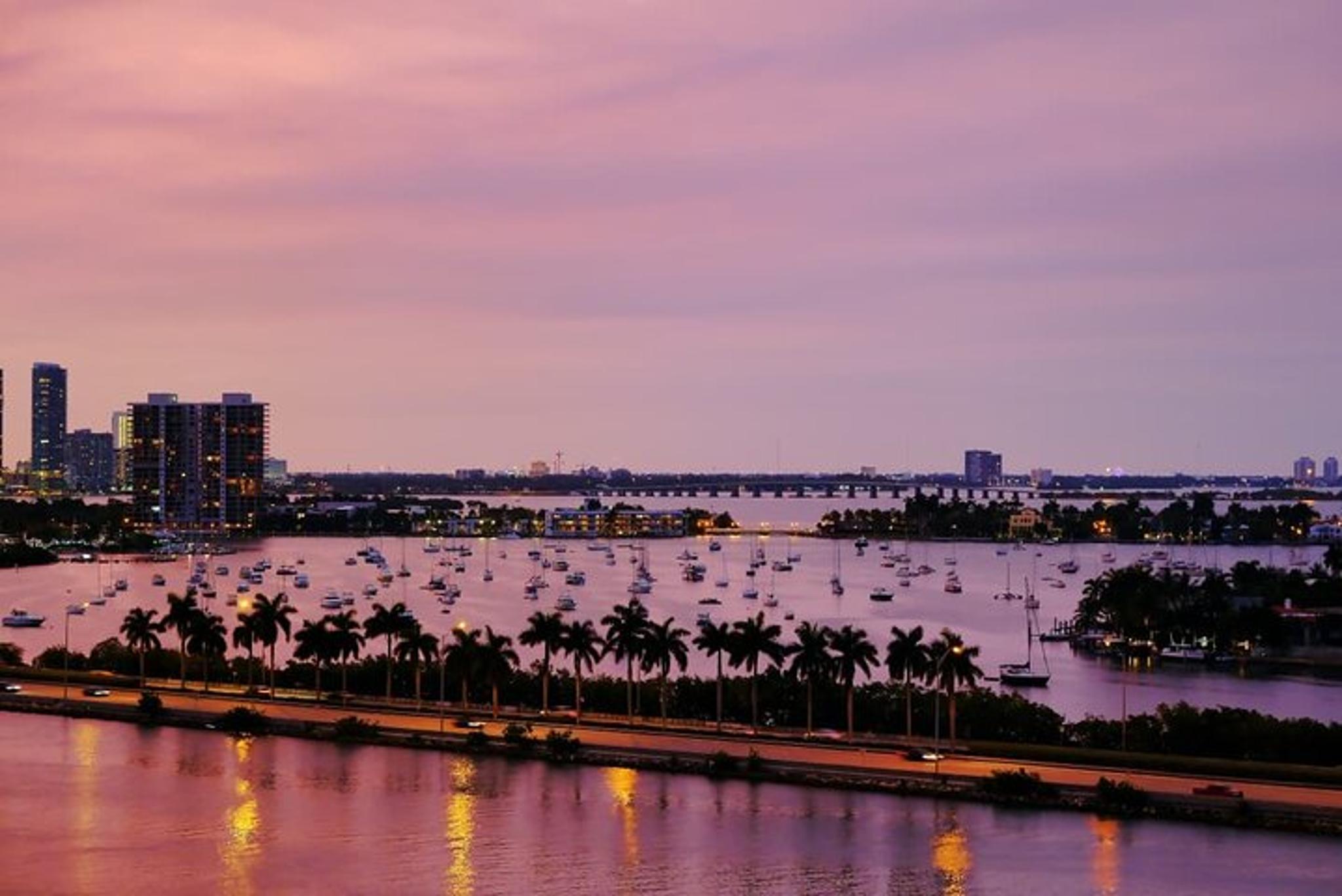Miami Night Tour with Skyview Wheel - Image 6