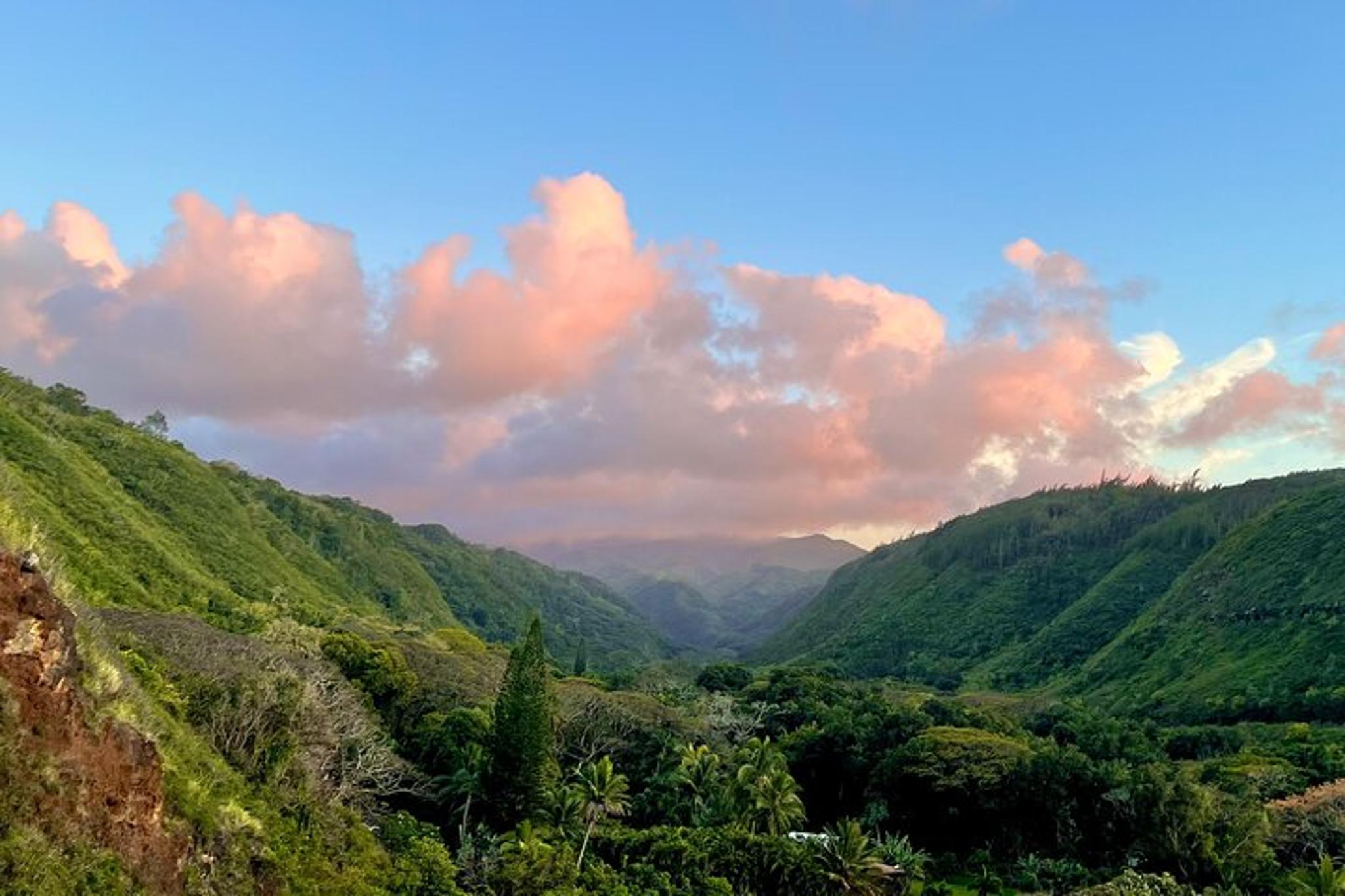 Maui Evening Open-Air Sightseeing Tour 90 Min - Image 4