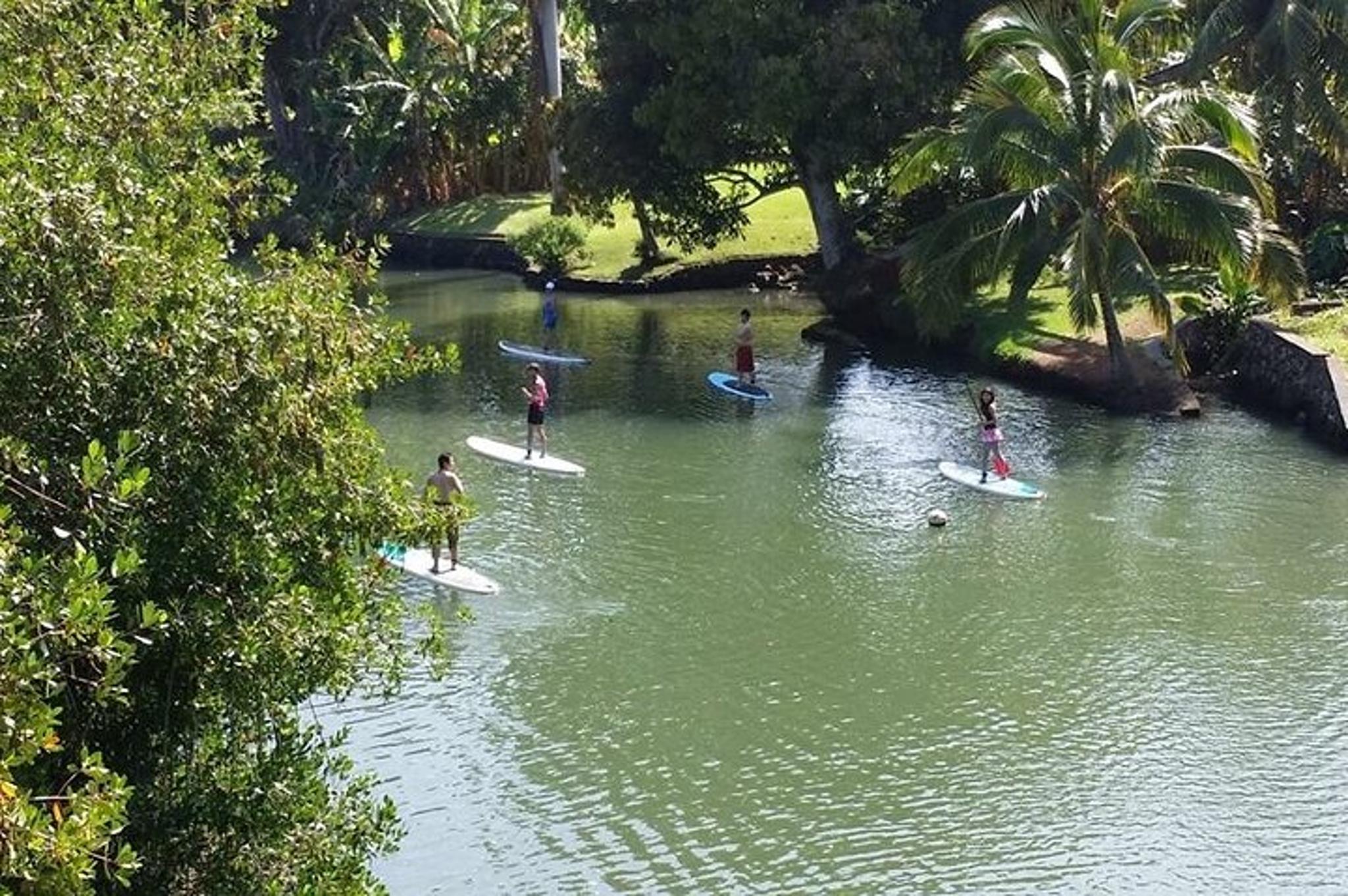 Haleiwa Stand Up Paddle Nature and Turtle Tour - Image 6