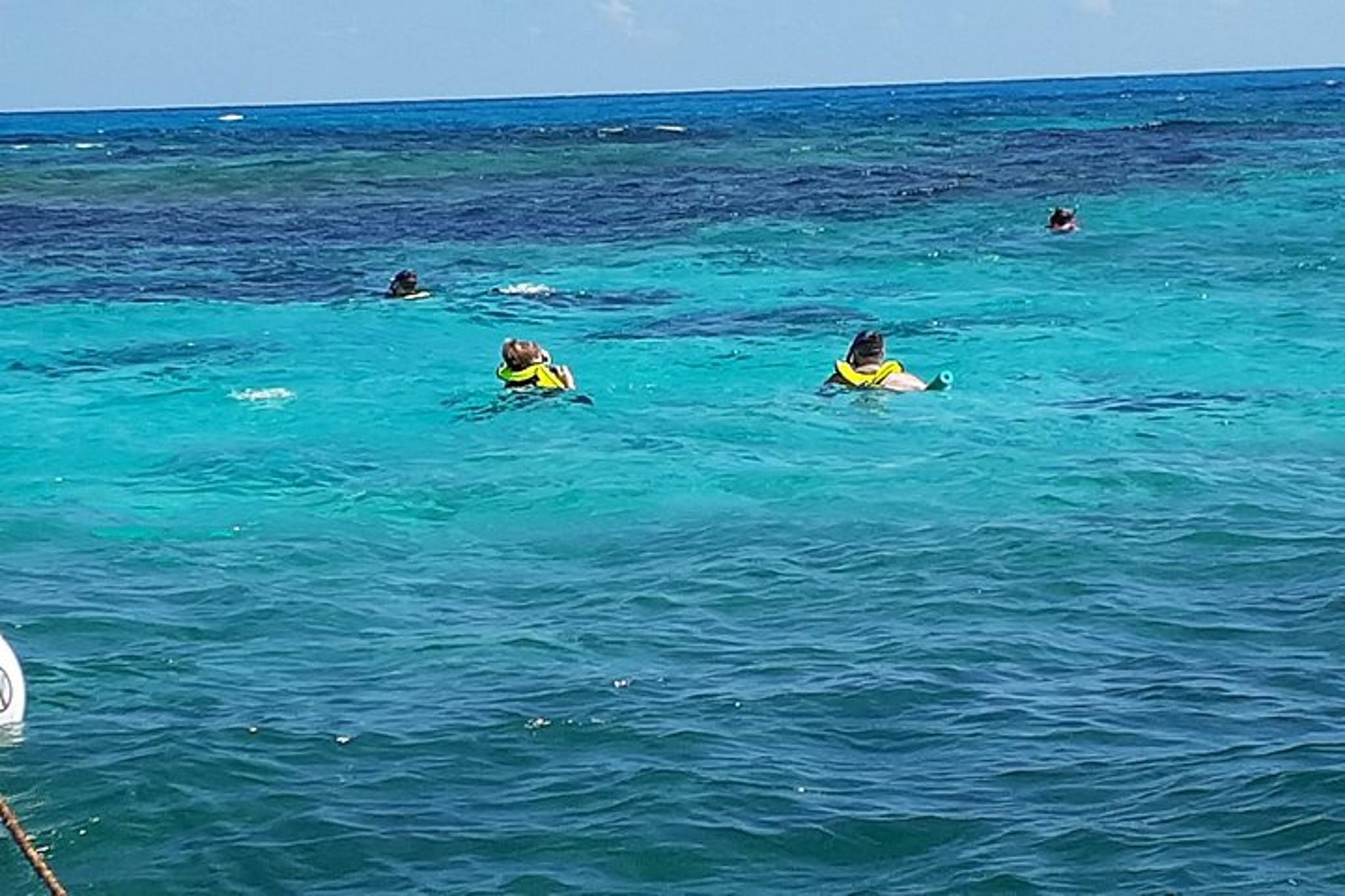 Key Largo Private Snorkel Tour - Image 6