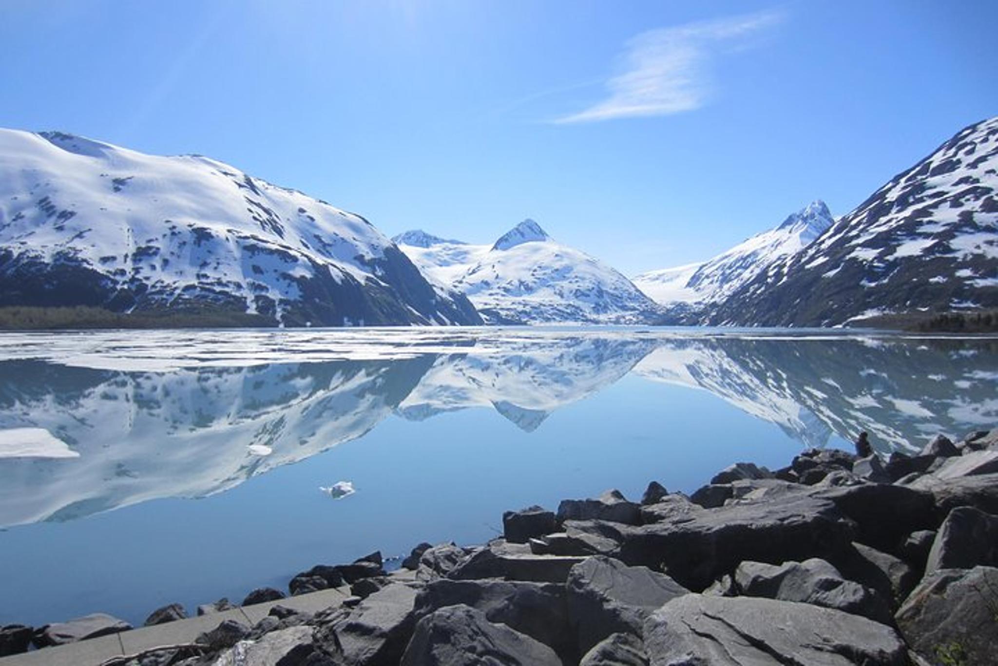 Anchorage Wildlife and Glacier Tour with Rainforest Walk - Image 2