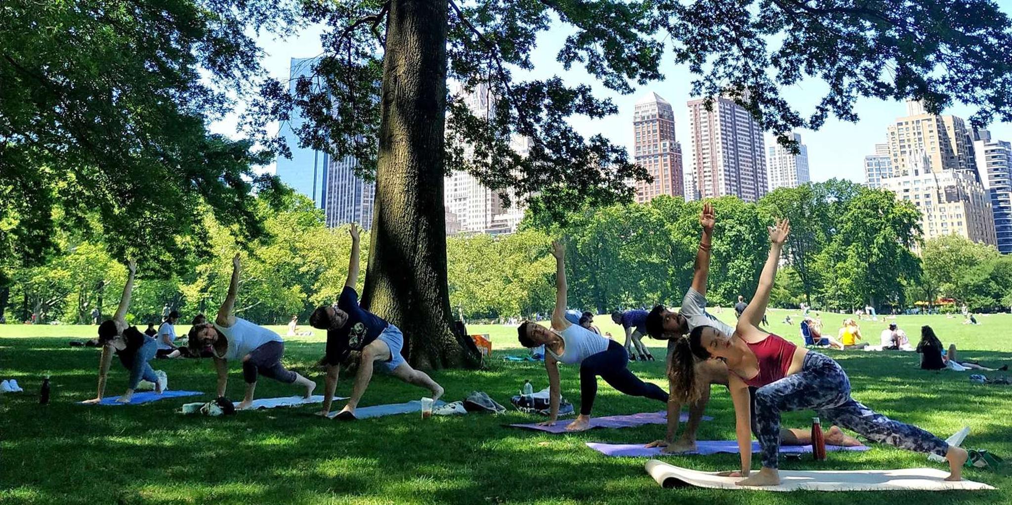 New York Central Park Yoga Class - Image 4