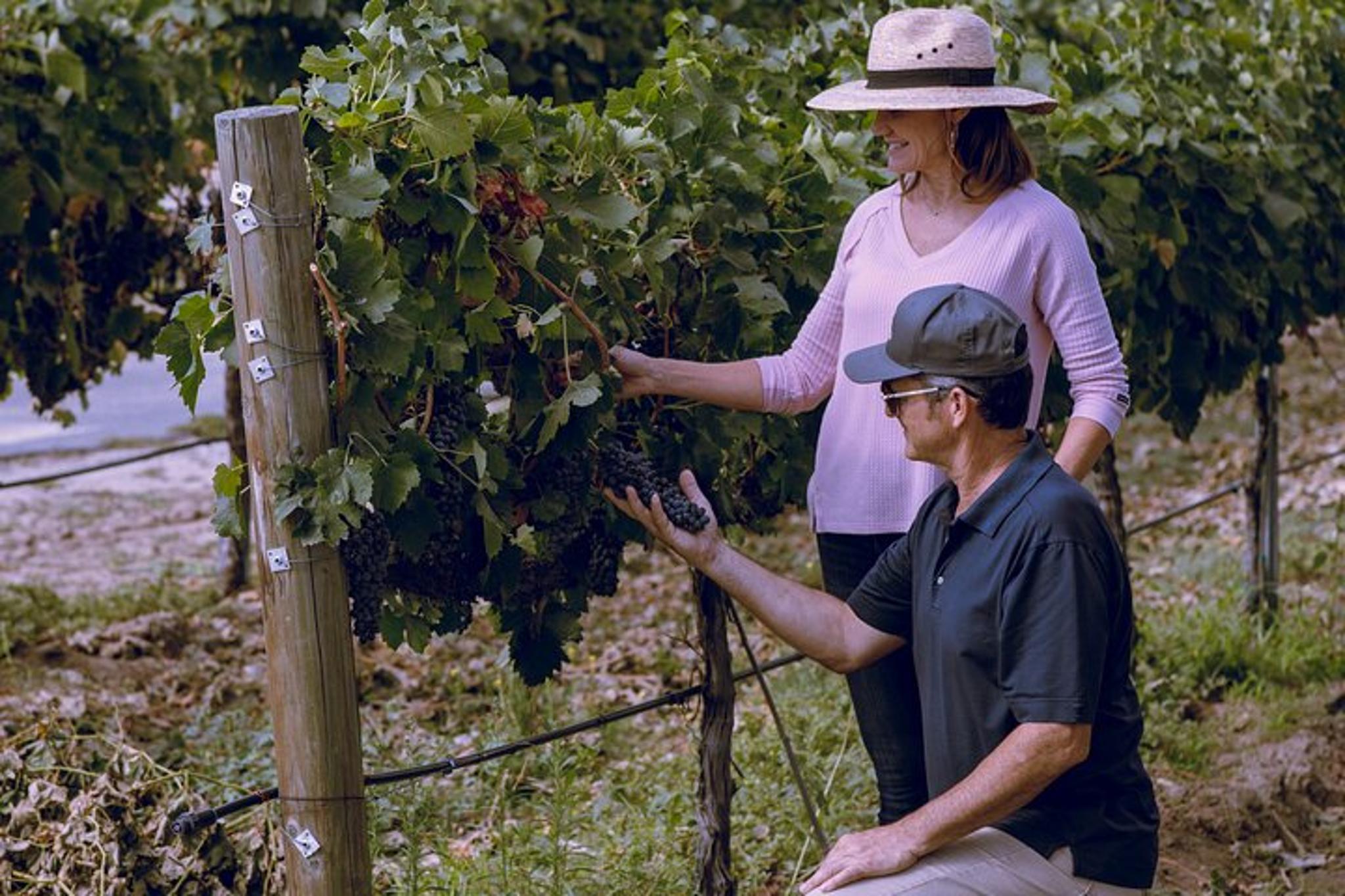 Temecula Valley Private Wine Tour - Image 4