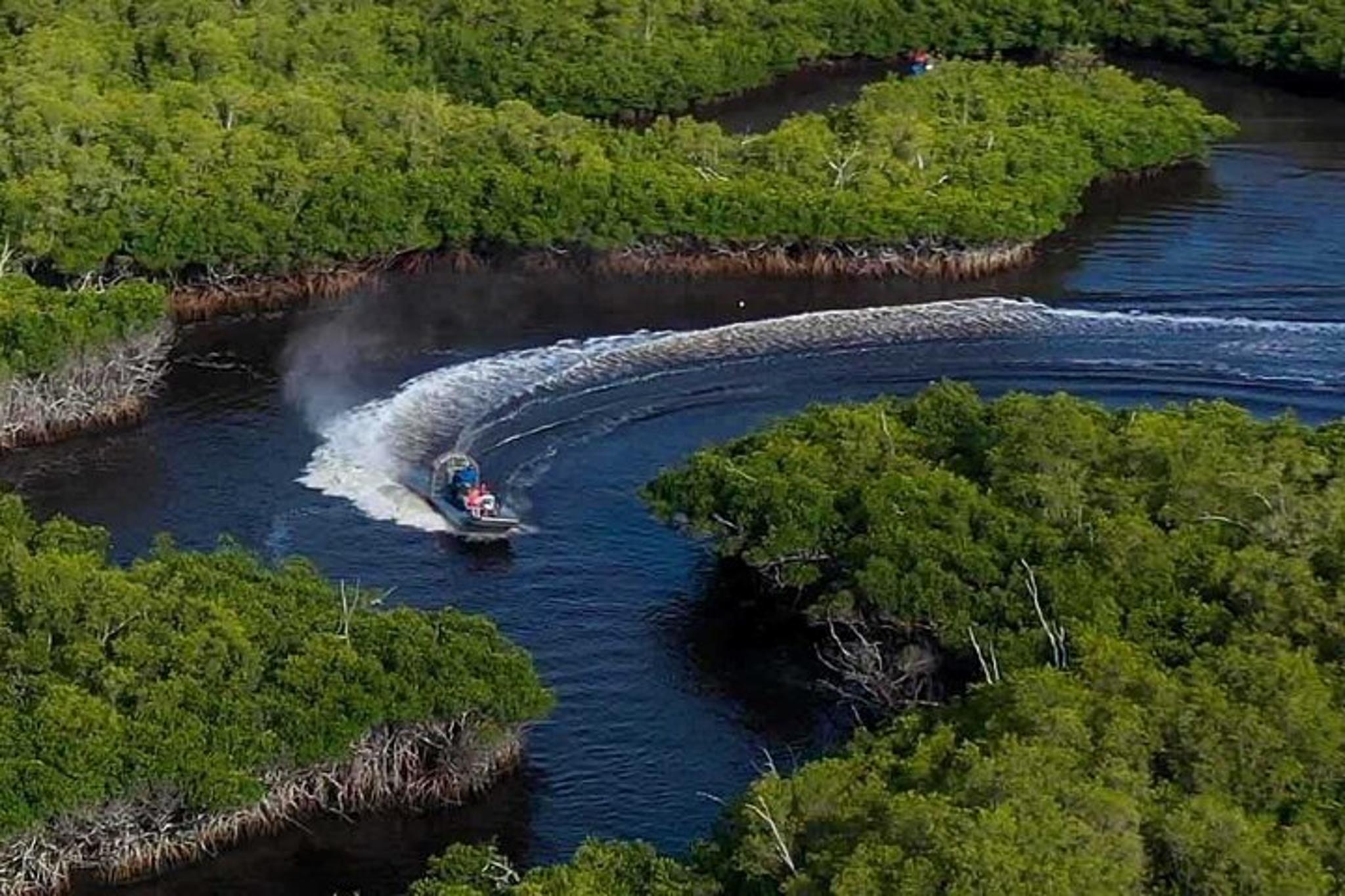 Miami Everglades Airboat Adventure Tour - Image 6