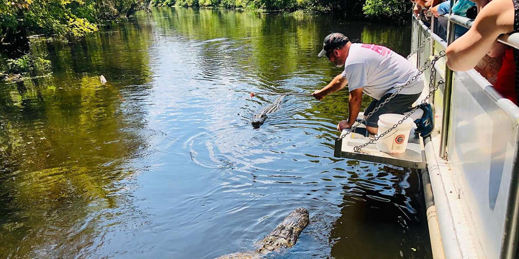 New Orleans Swamp Boat and Plantation Tour - Image 1