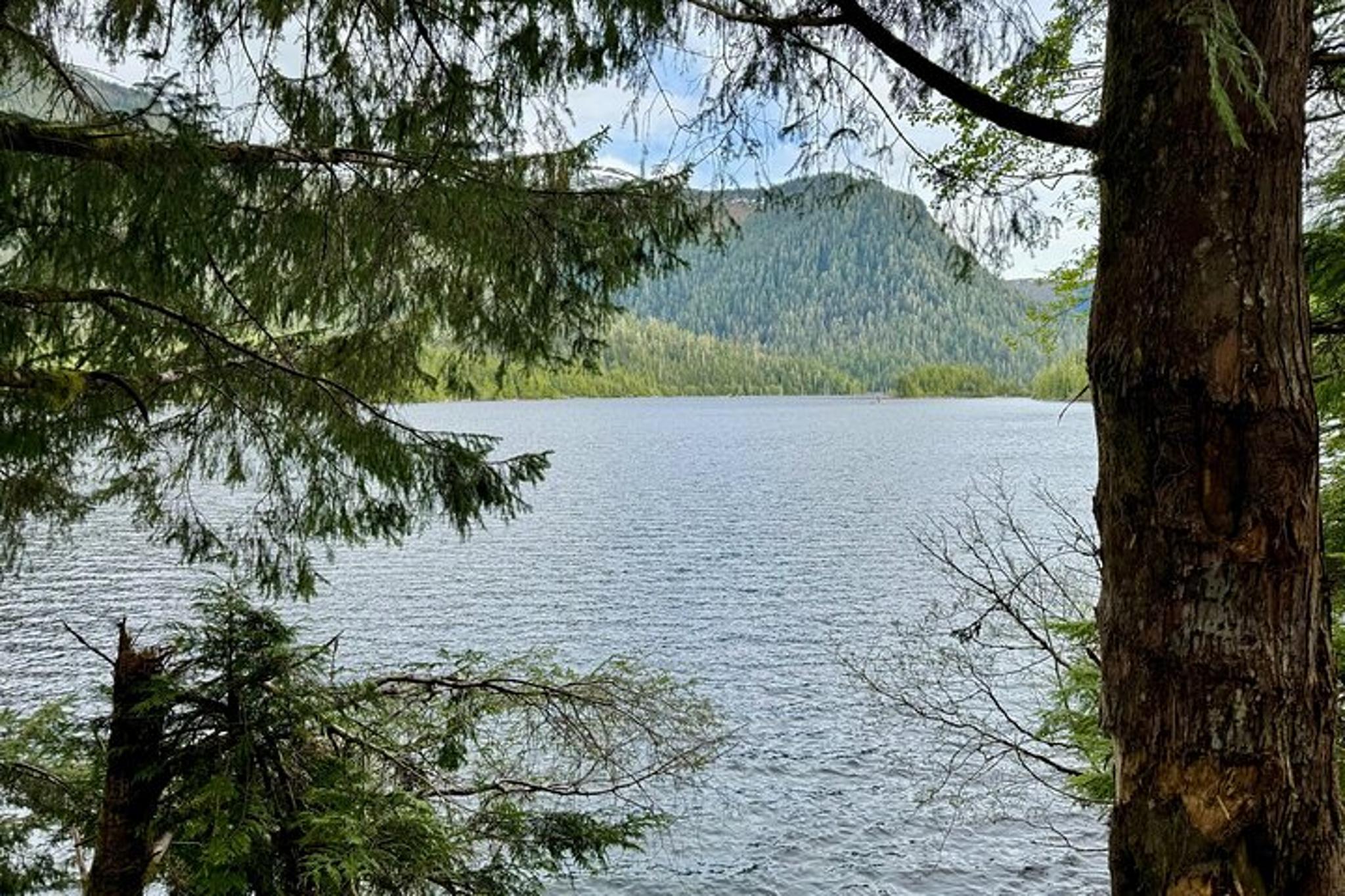 Ketchikan Rainforest Hike Connell Lake 3.5 hr