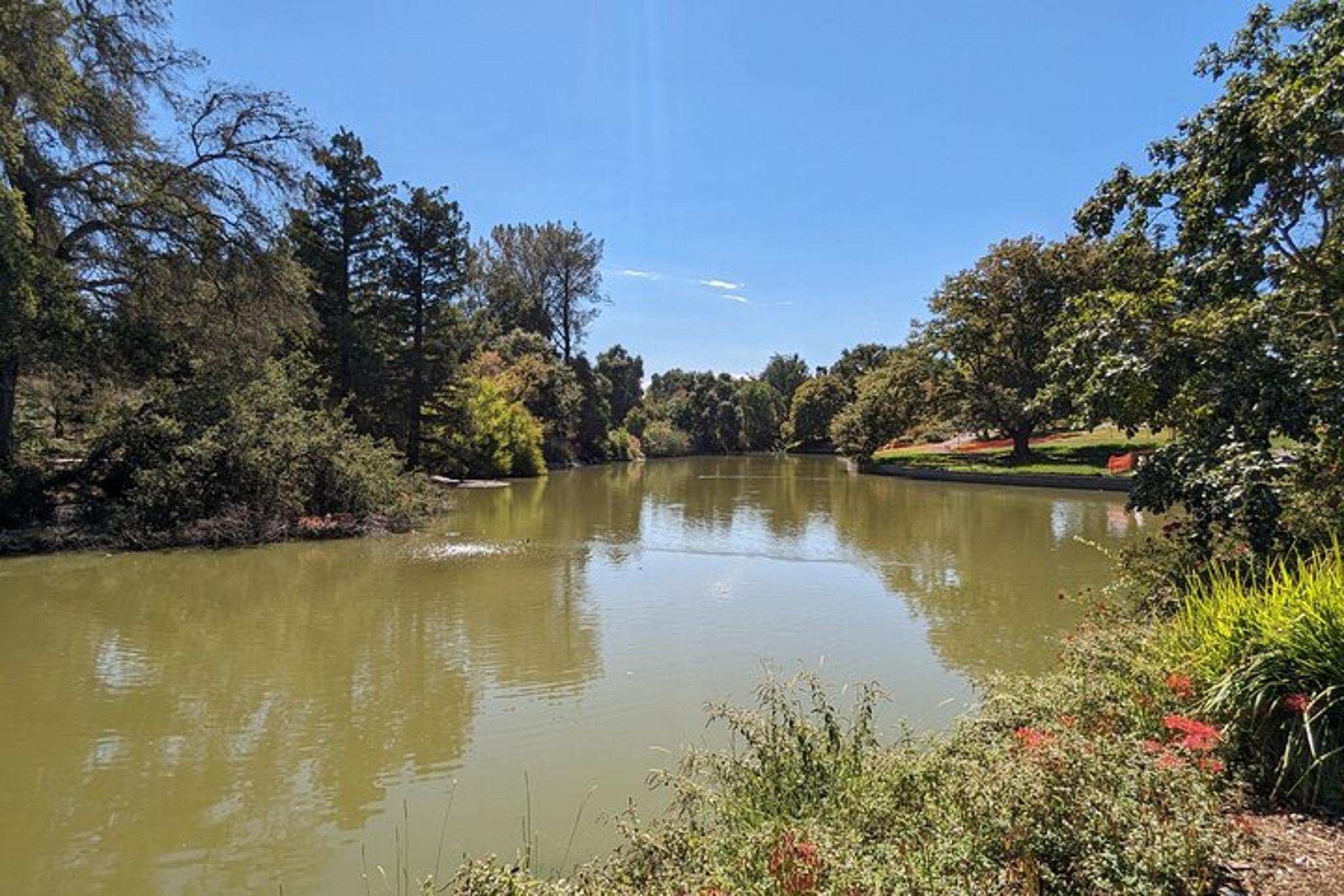 Davis Scavenger Hunt Walking Tour - Image 6