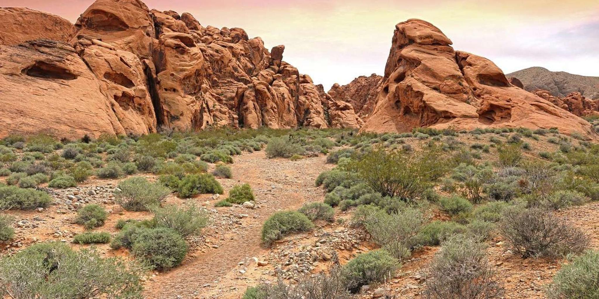 Las Vegas Valley of Fire Sunset Tour - Image 5