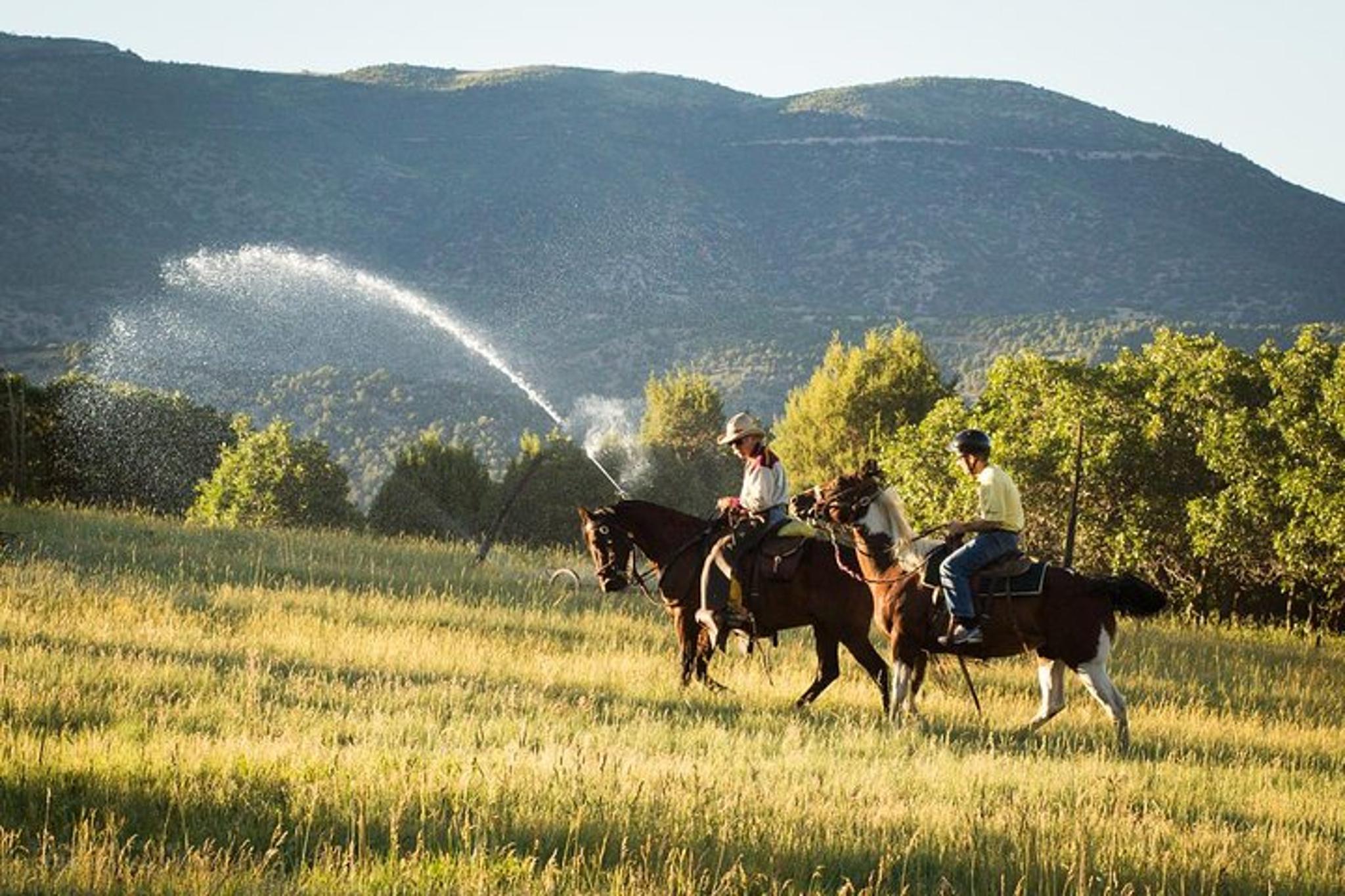 Glenwood Springs Horseback Ride 1 Hr - Image 2