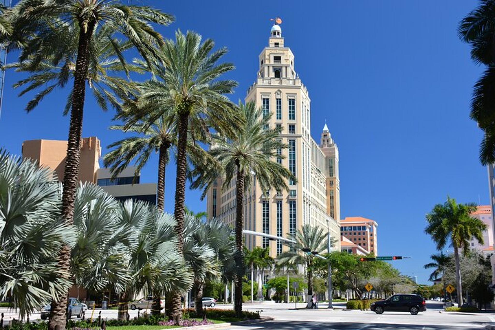 Miami Discovery Private Tour