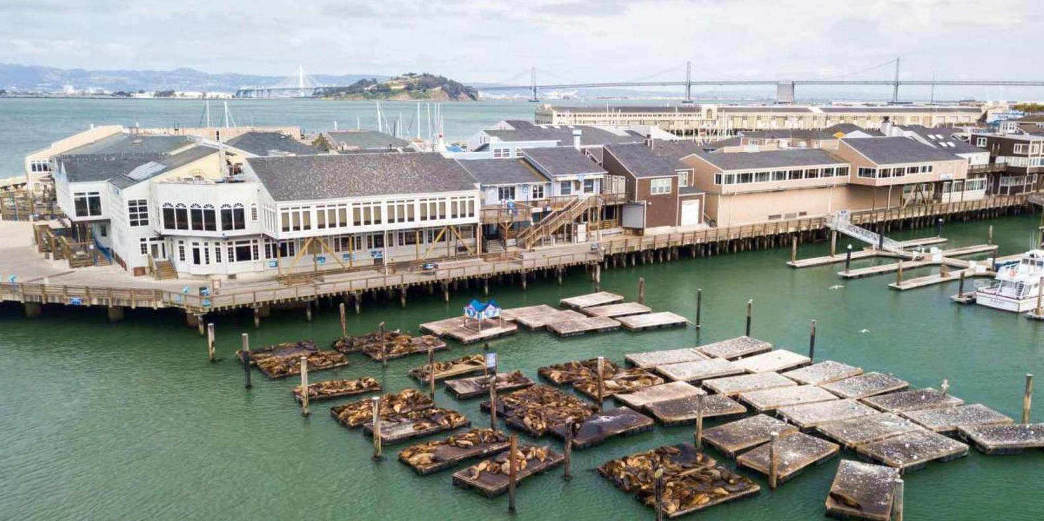 San Francisco Fisherman's Wharf App-Guided Walking Tour 1.5 hr - Image 4