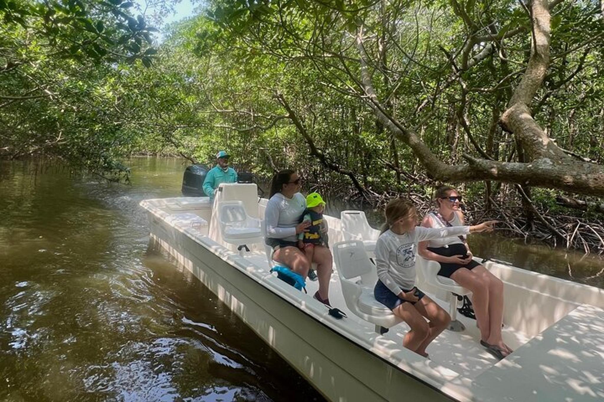 Everglades Mangrove Wilderness Boat Tour - Image 3