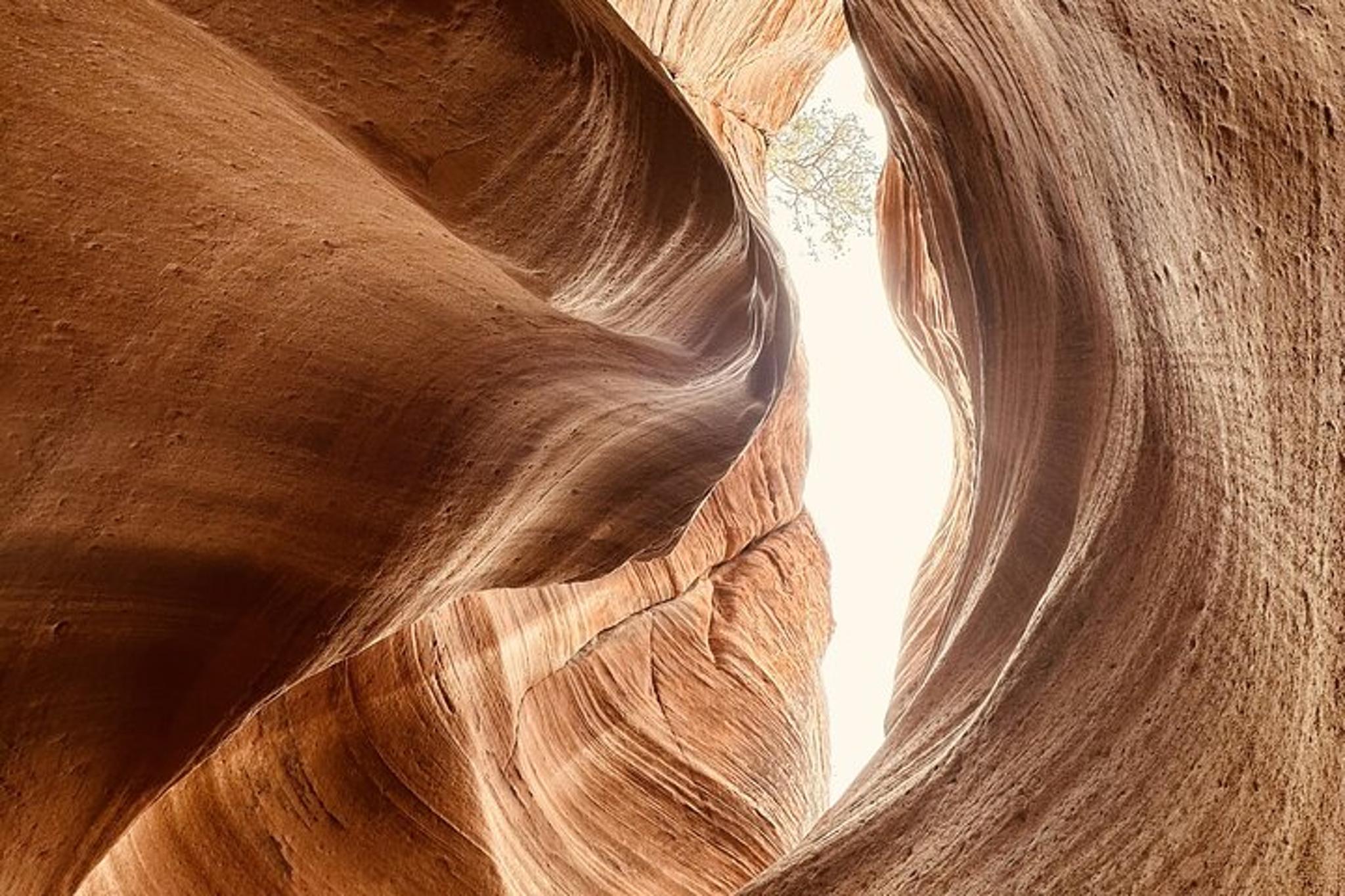 Buckskin Gulch Wire Pass Guided Hike - Image 4