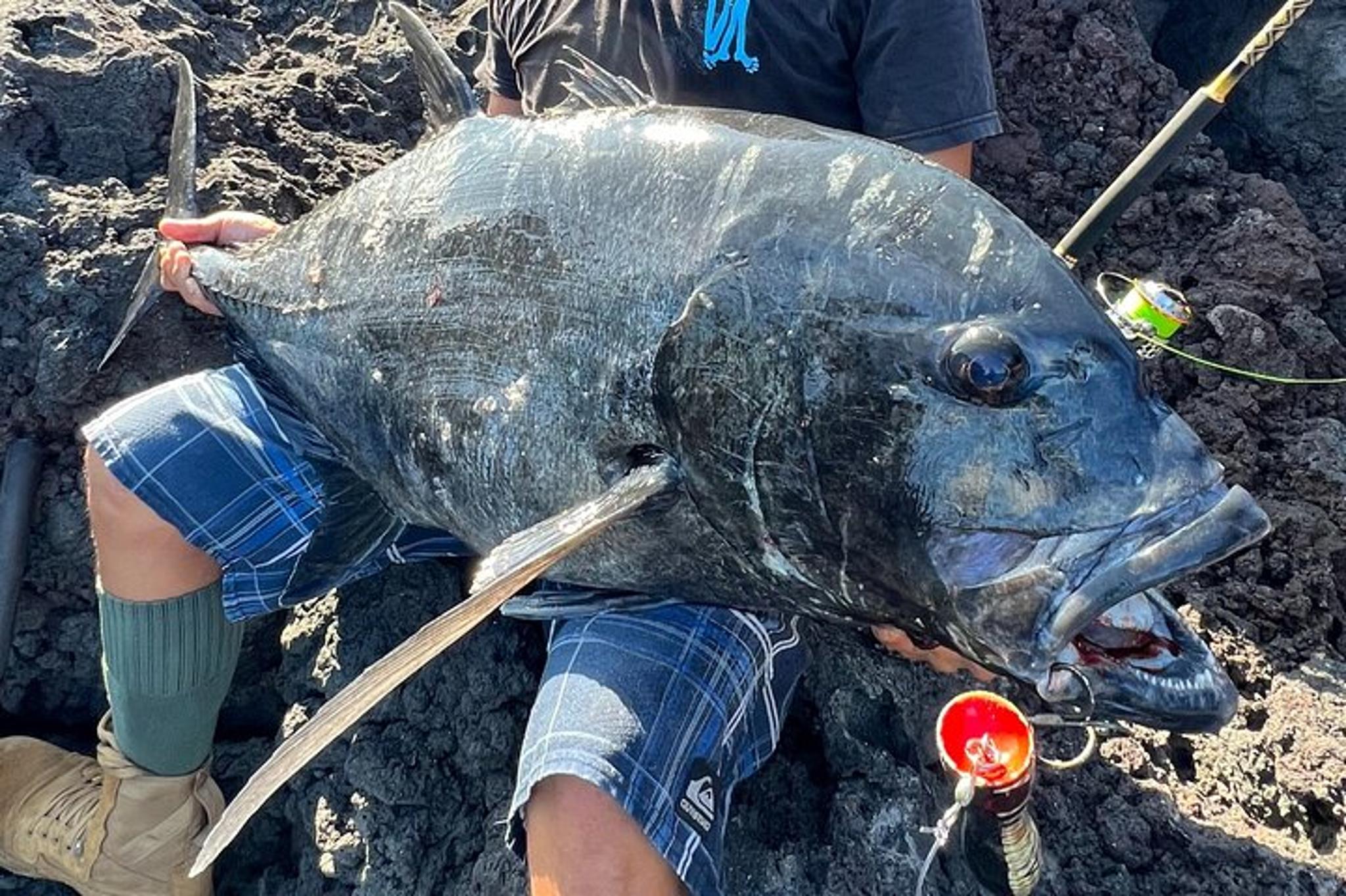 Hawaii GT Fishing Full Day - Image 1